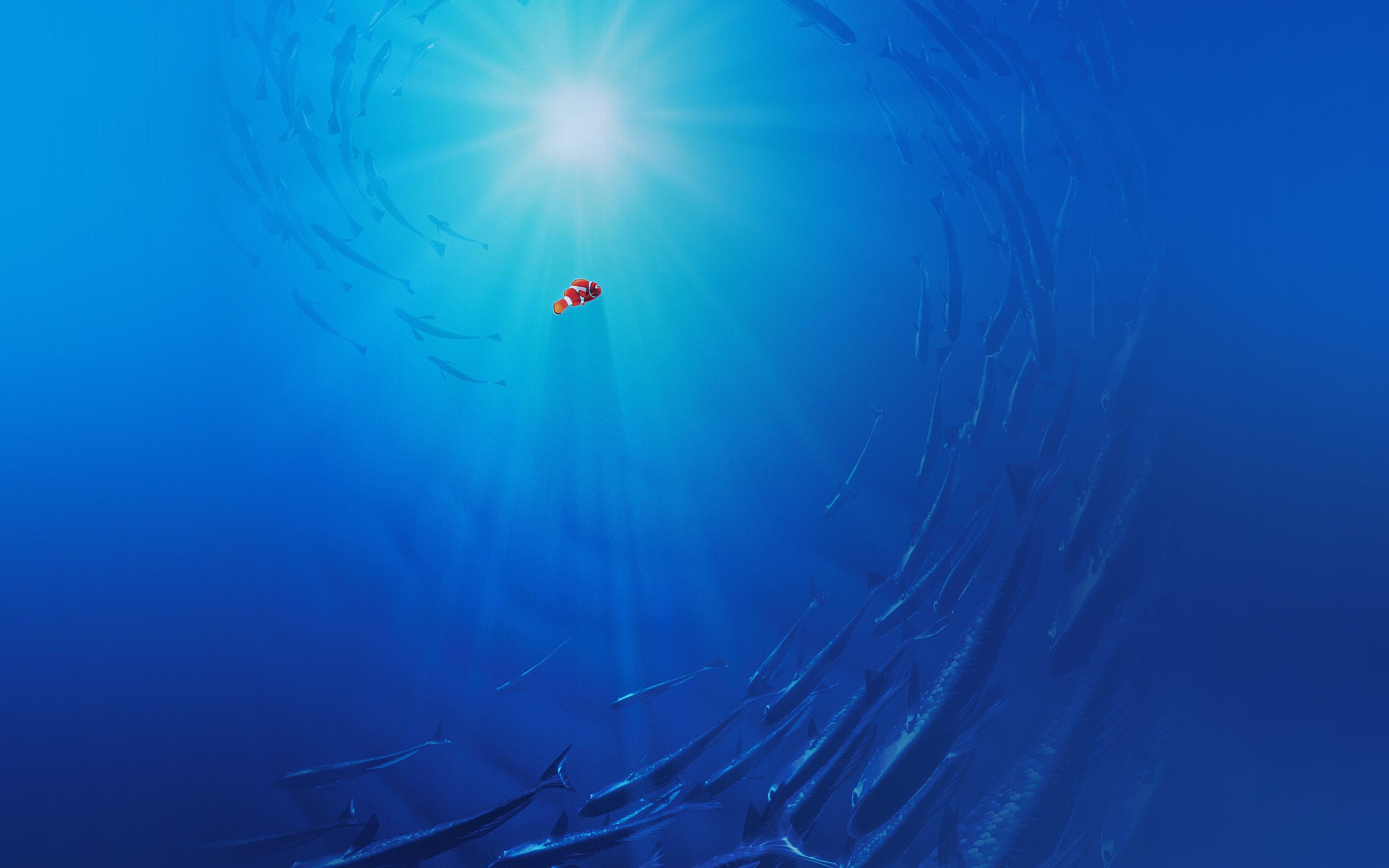 Findet Dorie, Disney, Nemo, süß, Animation, 3840x2400 4K Desktop