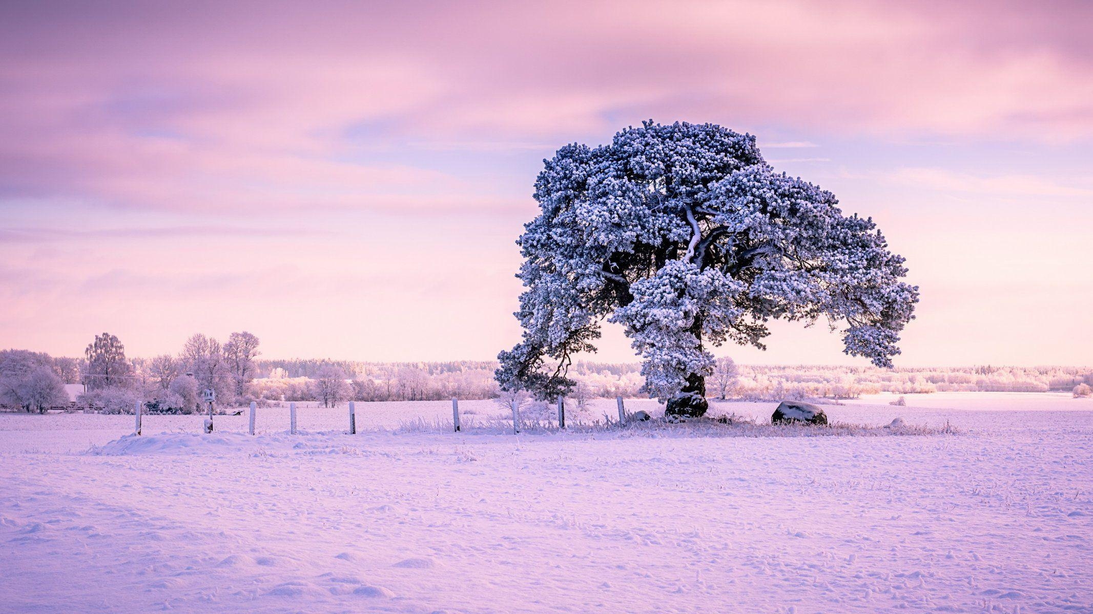 Estland, Skandinavisches Land, Meer, Wälder, Kultur, 2140x1200 HD Desktop