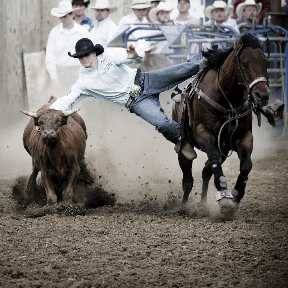 Rodeo, Full HD, Archiv, 43, Sport, 1000x1000 HD Handy