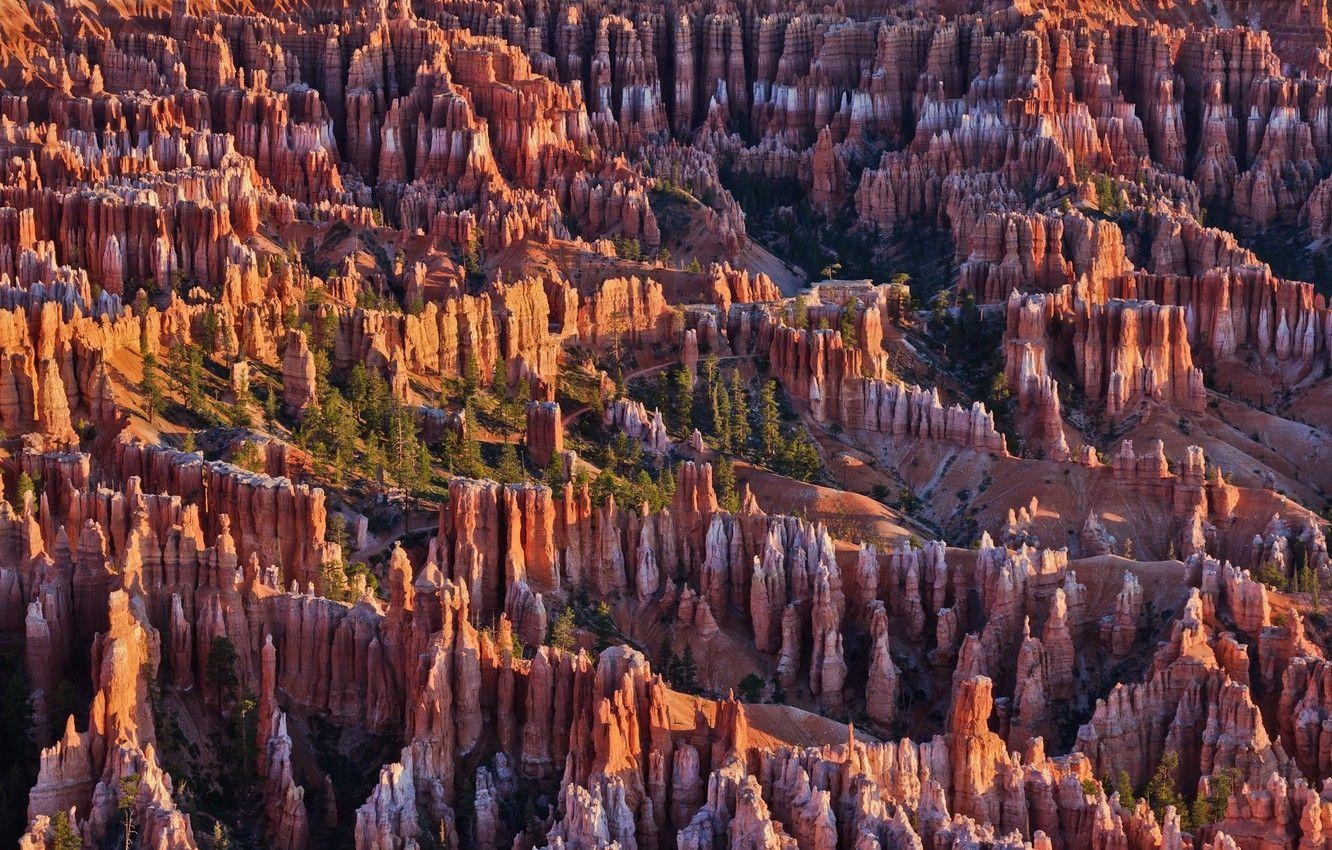 Bryce Canyon, Bäume Felsen, Utah USA, 1340x850 HD Desktop