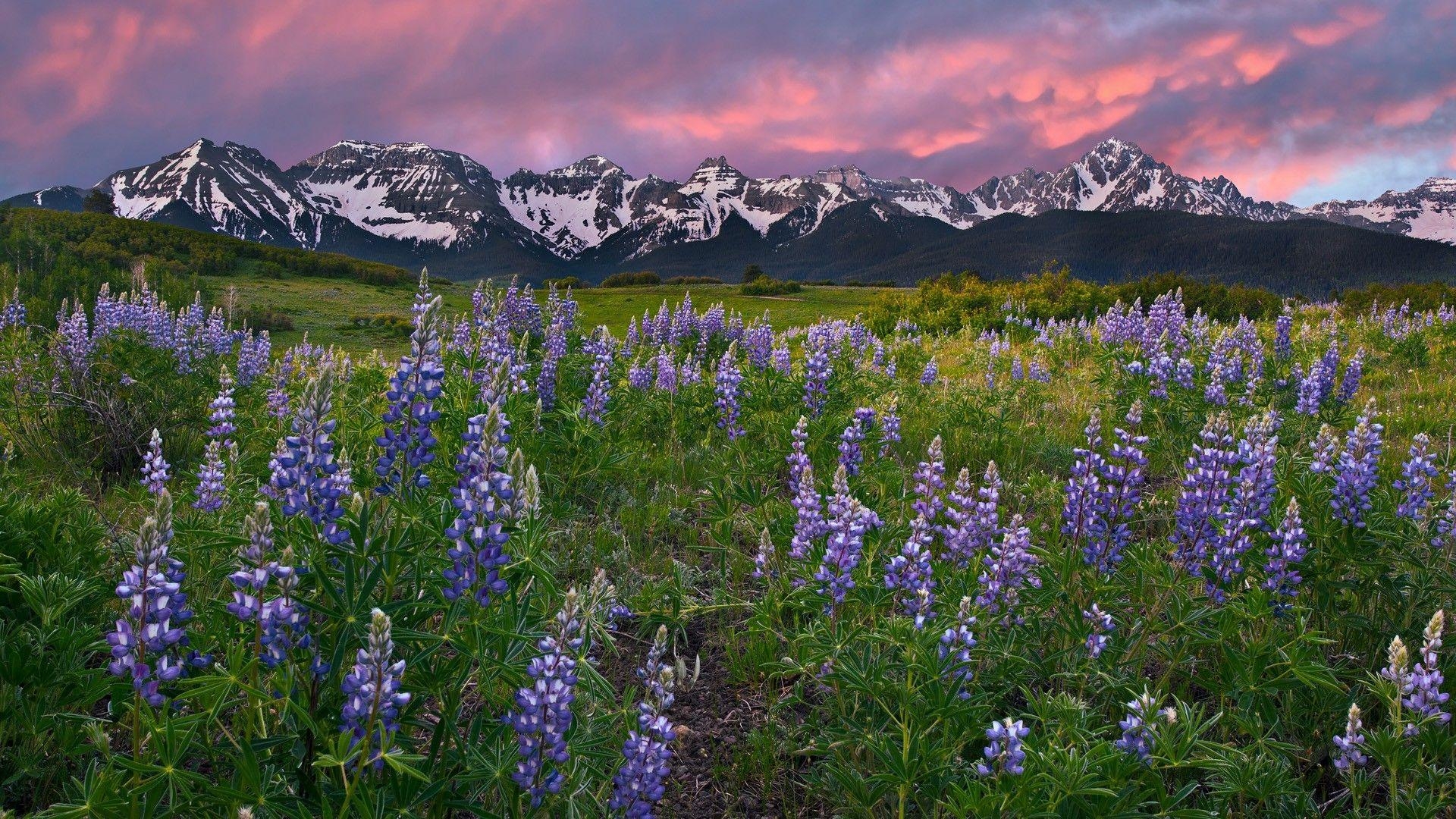 Rocky Mountains, Wiesen, Colorado, Natur, Schöne, 1920x1080 Full HD Desktop