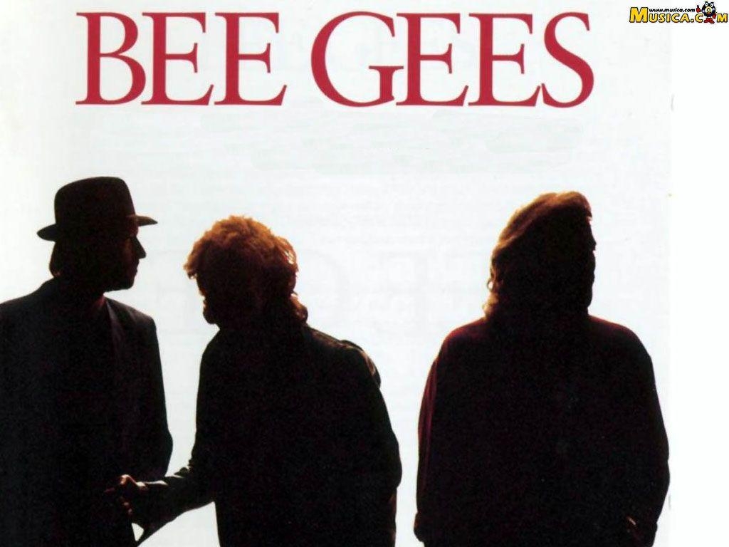 Bee Gees, Tapete, Bienen, Musik, Legendär, 1030x770 HD Desktop