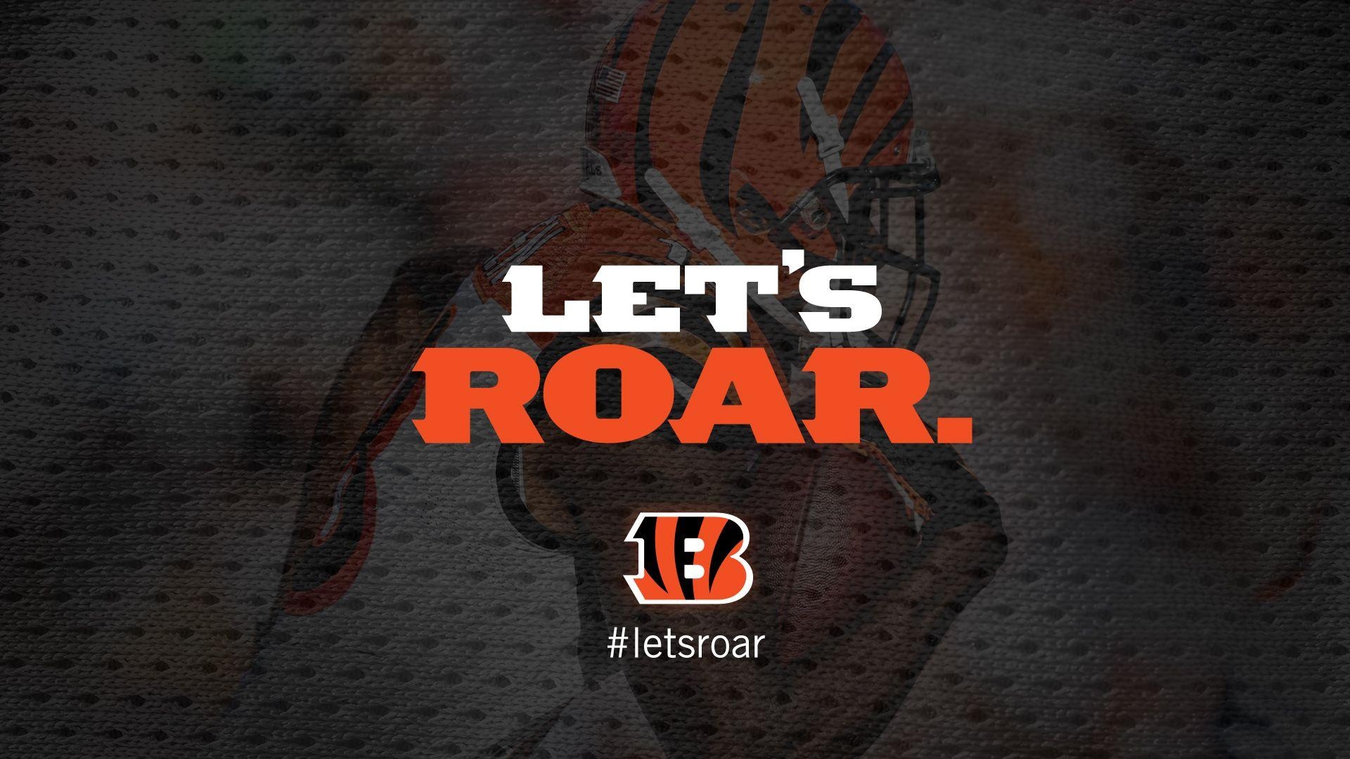 Cincinnati Bengals, HD, Sport, NFL, Bild, 1920x1080 Full HD Desktop