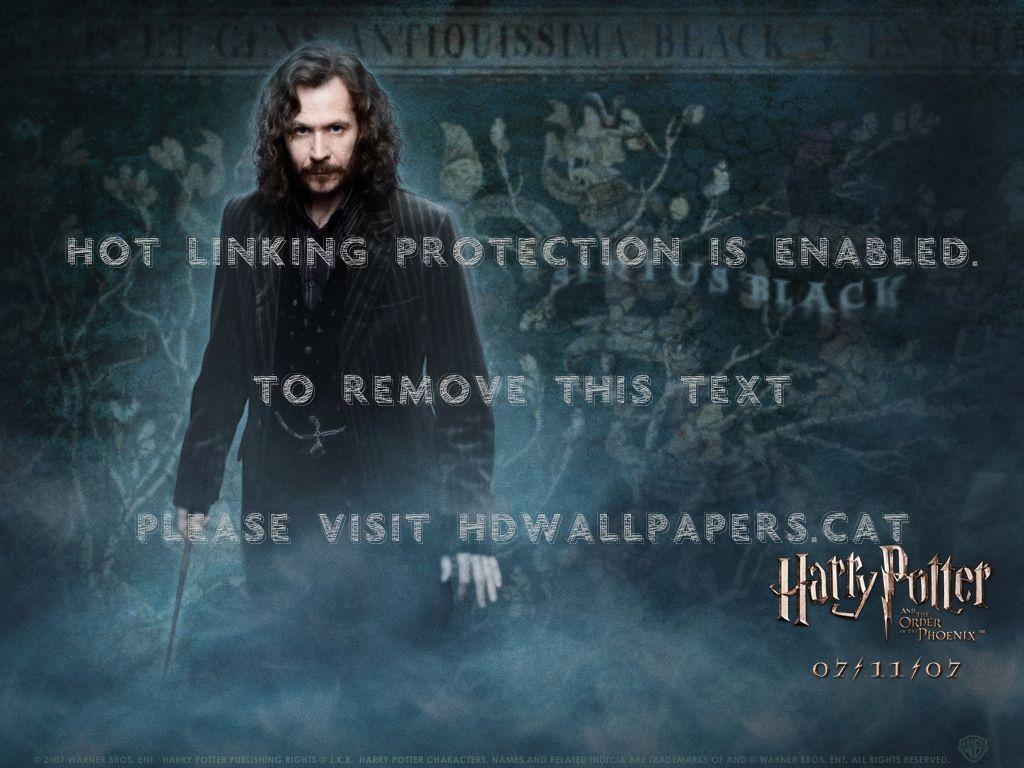 Sirius Black, Werwölfe, Harry Potter, Film, Abenteuer, 1030x770 HD Desktop