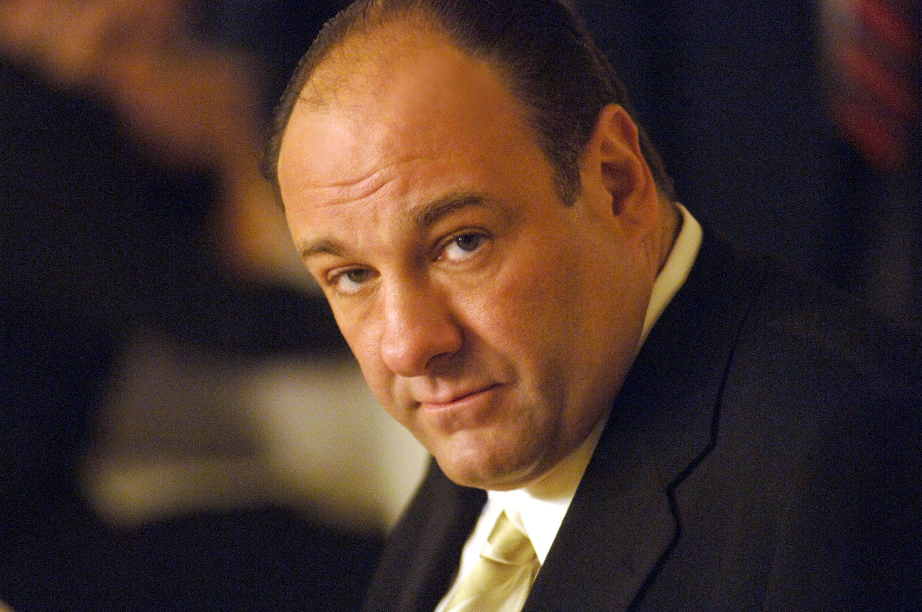 James Gandolfini, Promi, HD, Film, Schauspiel, 3000x2000 HD Desktop