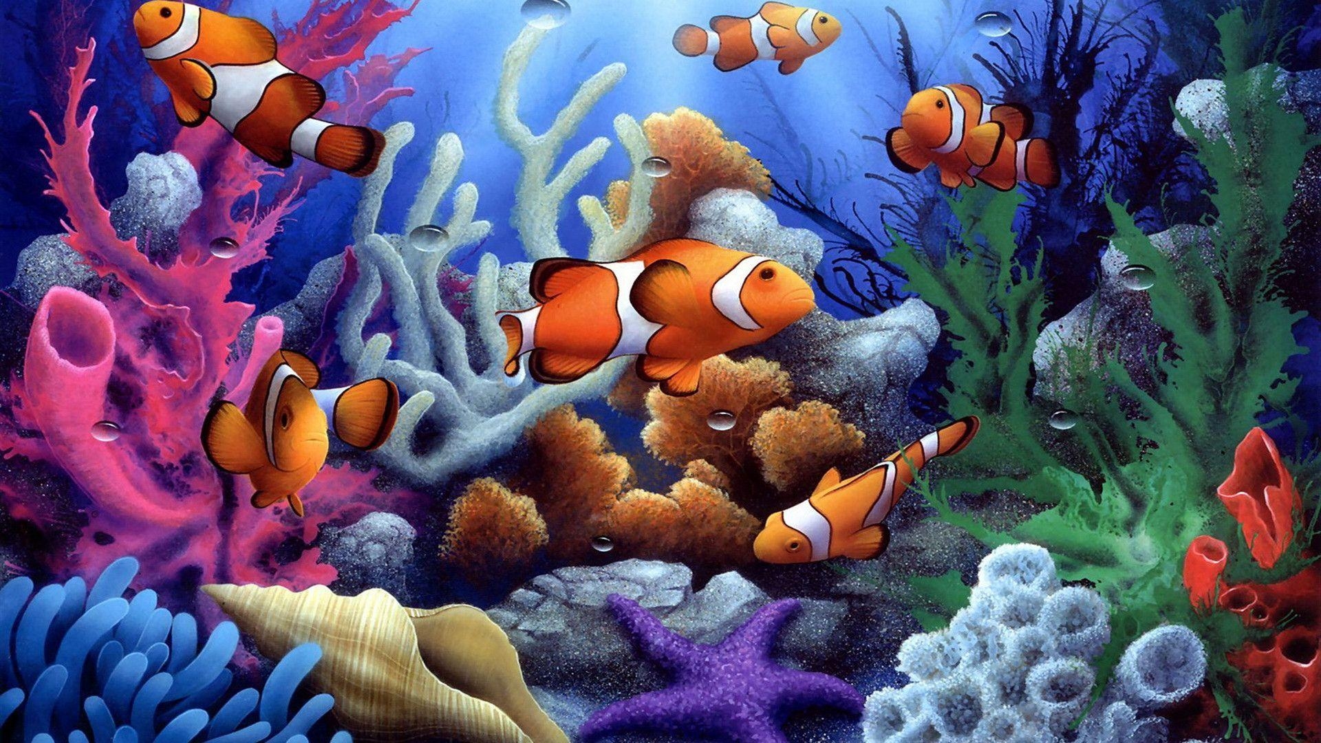 iPhone, Clownfisch, Hintergrund, Meer, Unterwasser, 1920x1080 Full HD Desktop