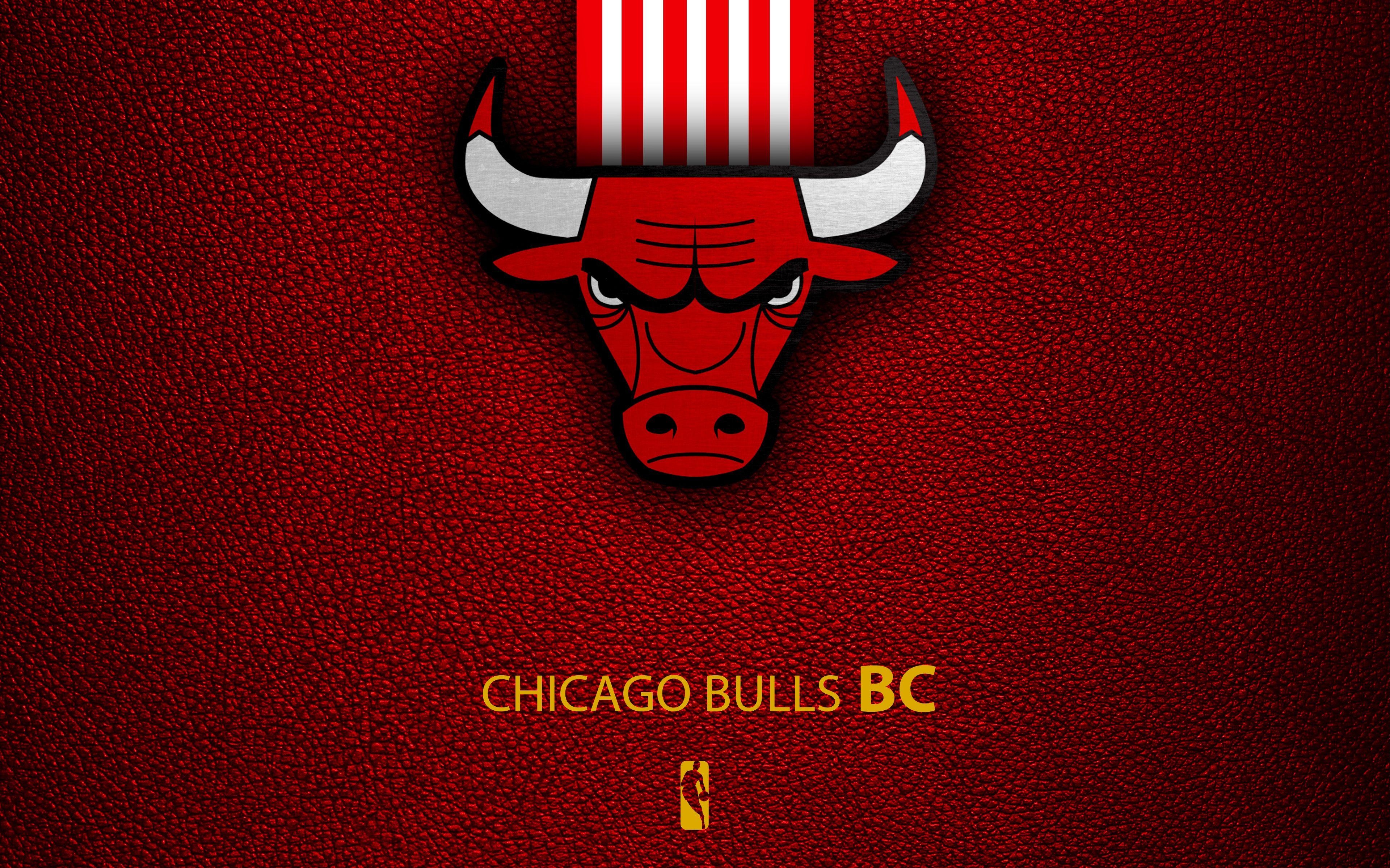 Chicago Bulls, HD, Hintergrund, Berühmt, Basketball, 3840x2400 4K Desktop