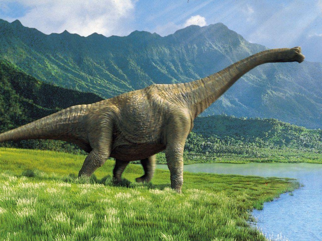 Brachiosaurus, Jura, Park, blau, Wallpaper, 1030x770 HD Desktop