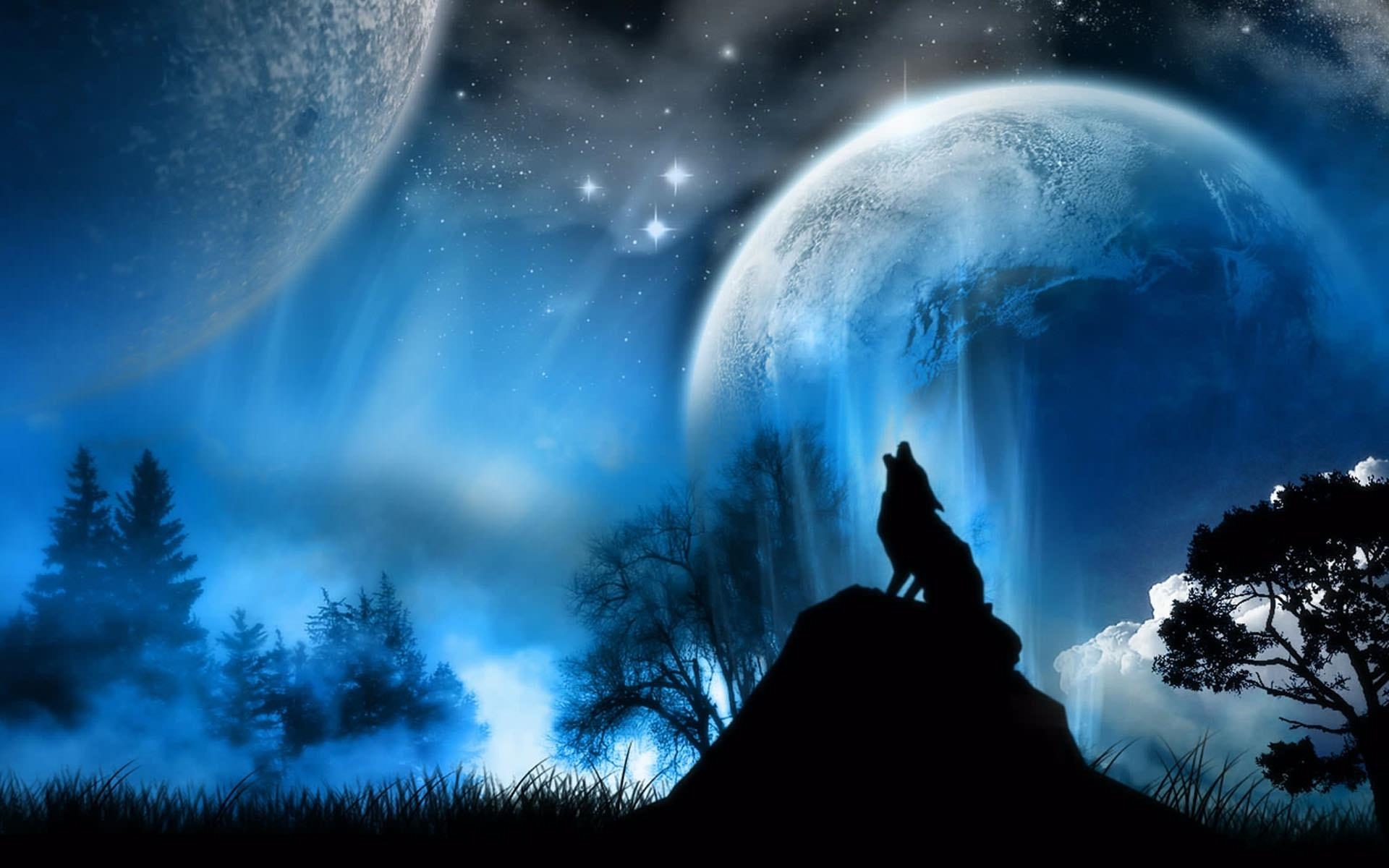 Wolf, Mondlicht, HD, Nacht, Natur, 1920x1200 HD Desktop