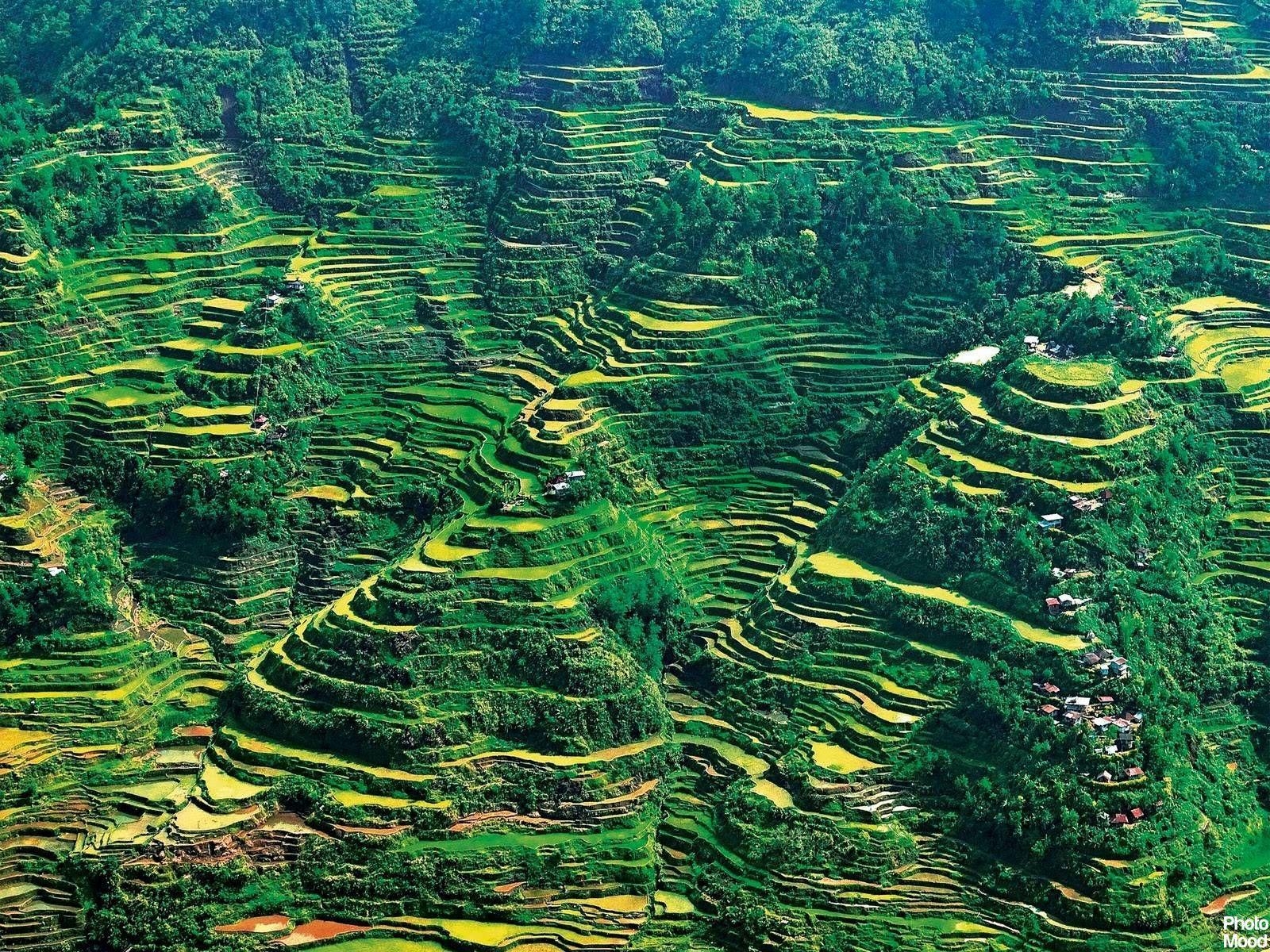 Banaue, Reisterrassen, Geometrie, Landschaft, Natur, 1600x1200 HD Desktop