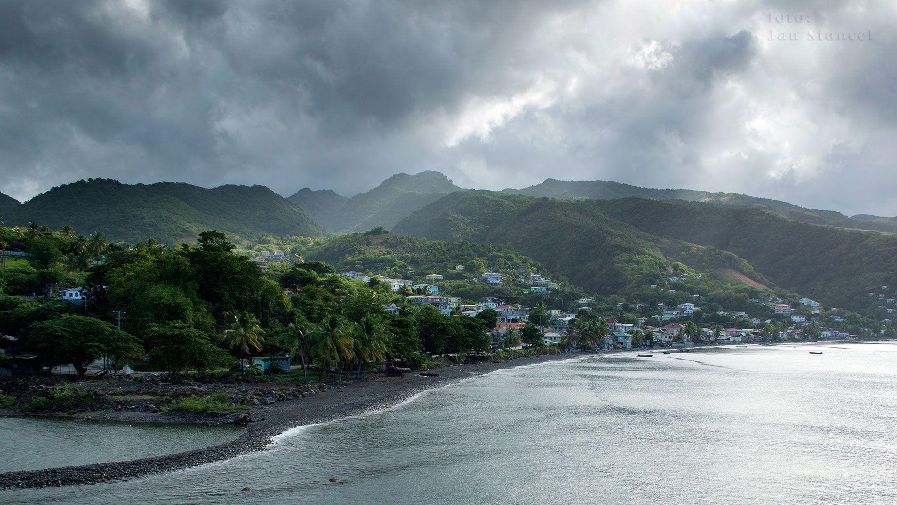 Dominica Blumen, Commonwealth, tropisch, Naturhintergrund, Karibik, 1820x1030 HD Desktop