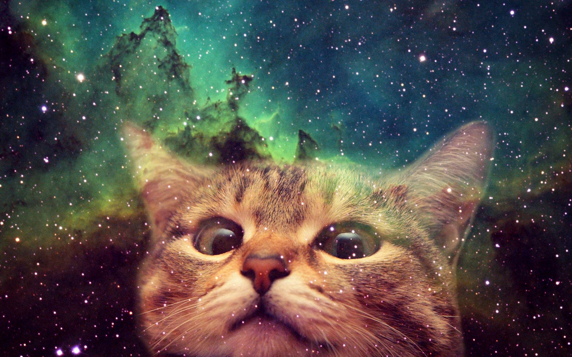 Galaxie Katze, Hintergrund, Universum, Fantasie, Bild, 1920x1200 HD Desktop