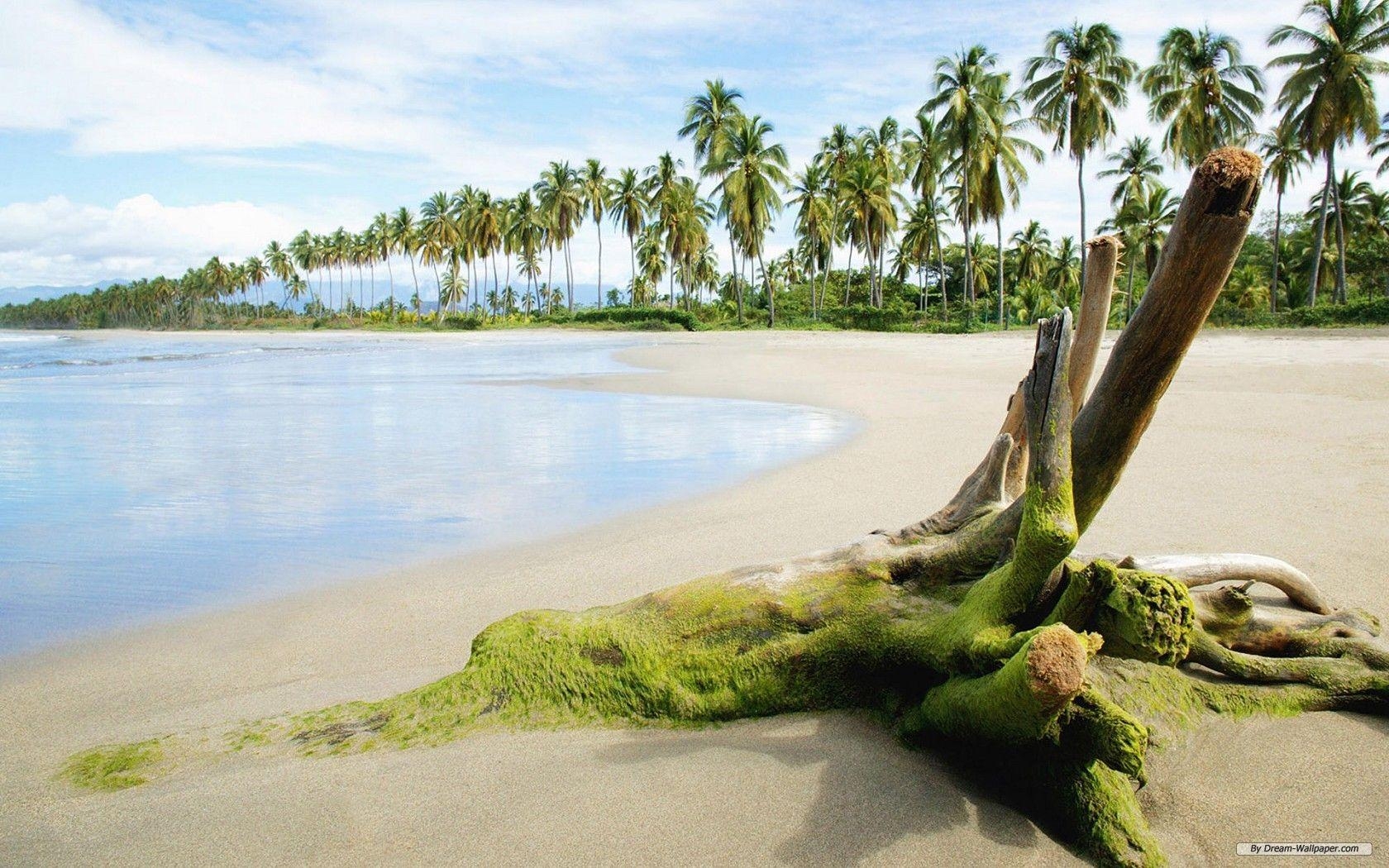 Galapagos, Inseln, Reisen, Kostenlos, Hintergrund, 1680x1050 HD Desktop