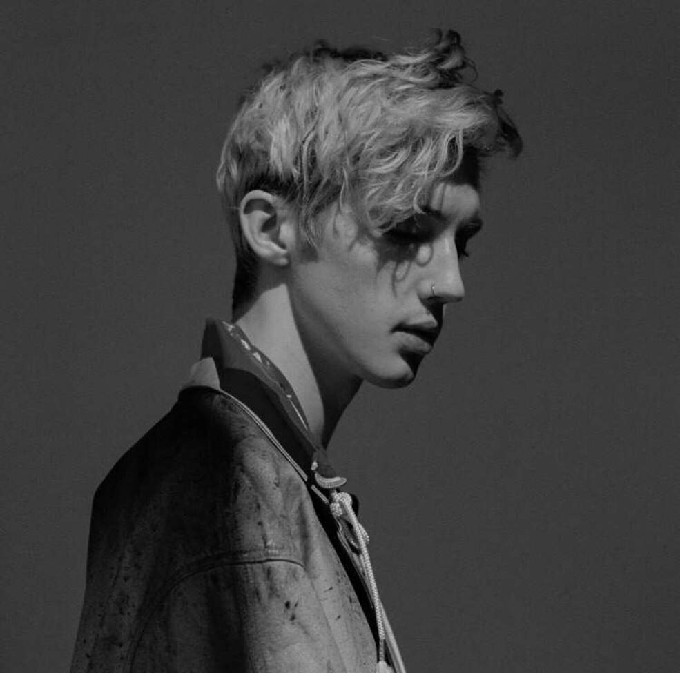 Troye Sivan, Amino, Wallpaper, Musik, Stil, 990x980 HD Desktop