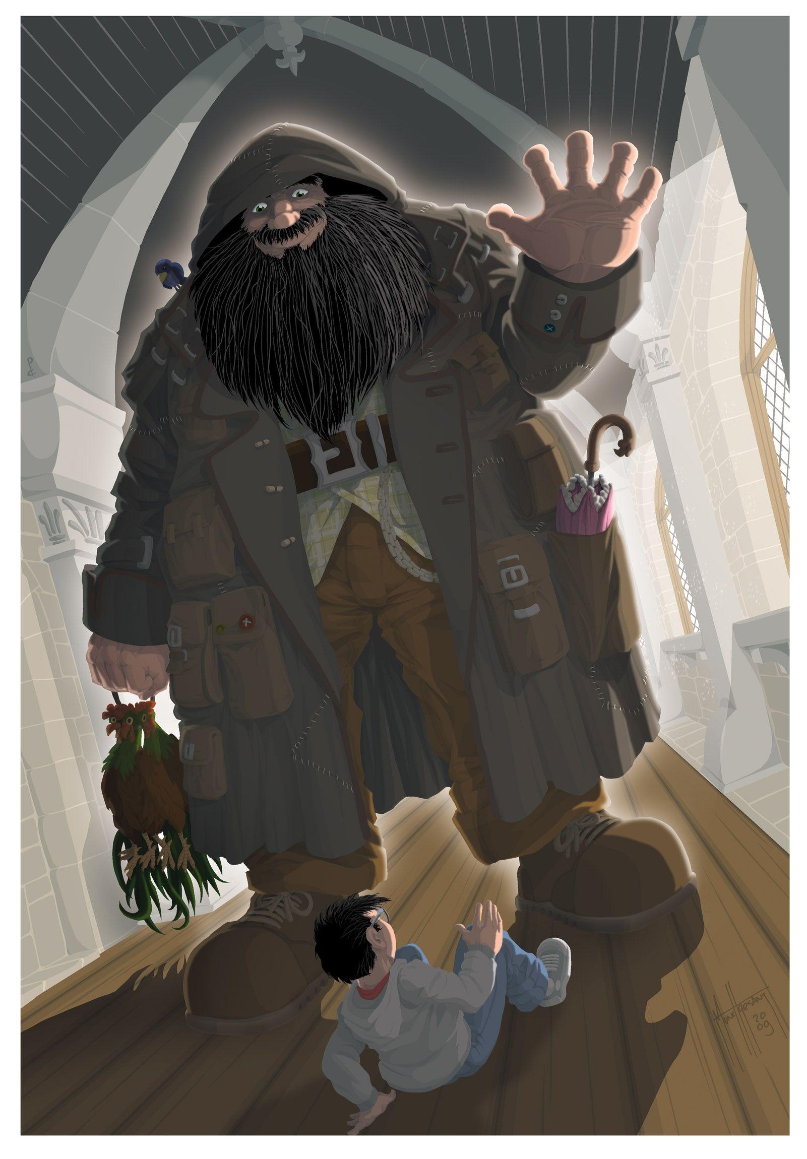 Rubeus Hagrid, Film, Harry Potter, Bild, Hintergrund, 1610x2300 HD Handy