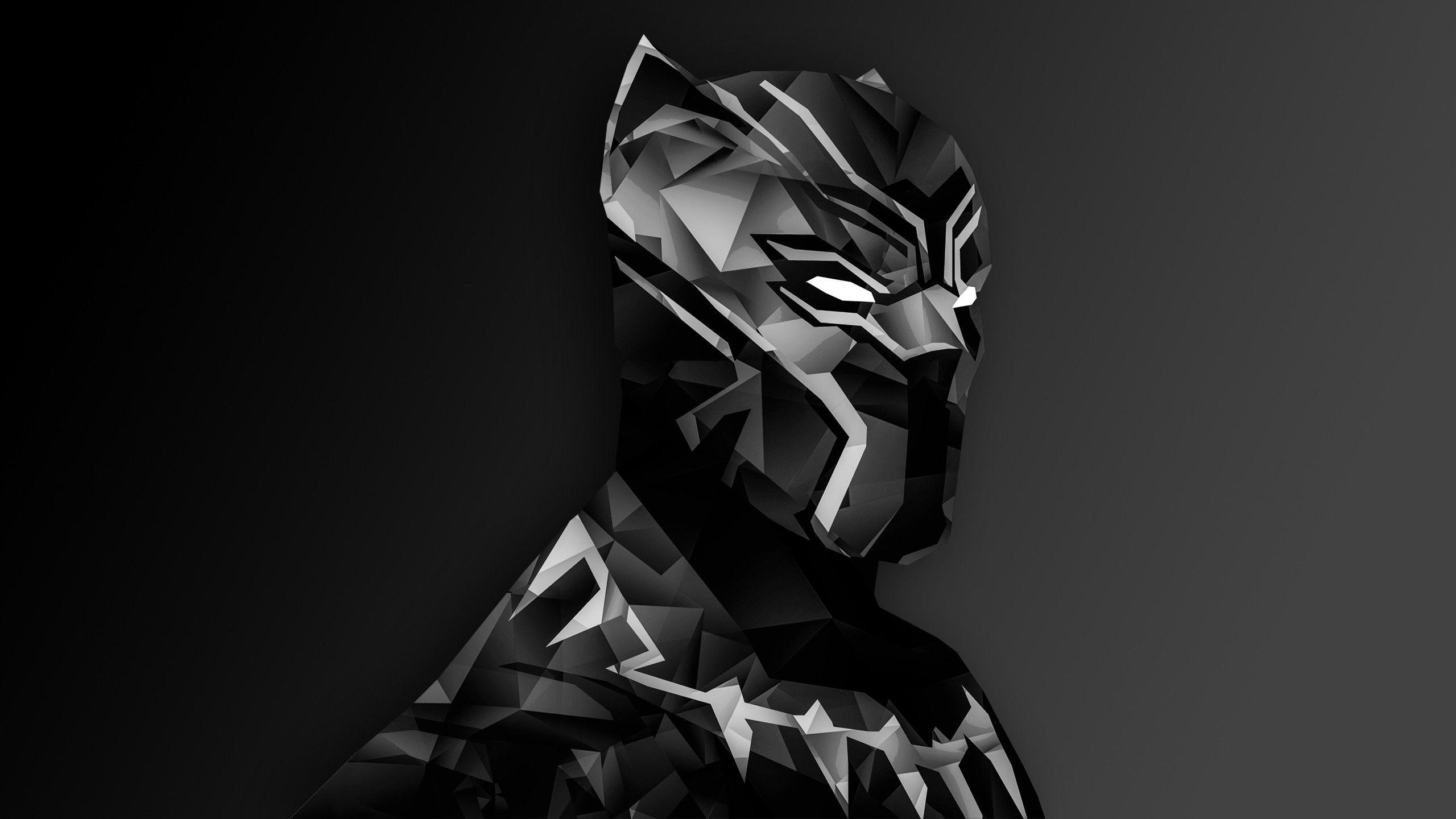 HD 1080p, Black Panther, Marvel, Superheld, Wakanda, 2560x1440 HD Desktop