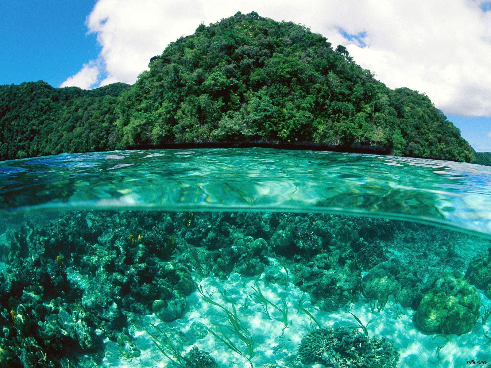 Palau, Südsee, Tropeninsel, Reise, Natur, 1600x1200 HD Desktop