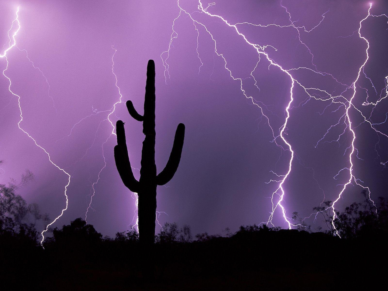 Natur, Wüstensturm, Tucson, Arizona, Bild, 1600x1200 HD Desktop