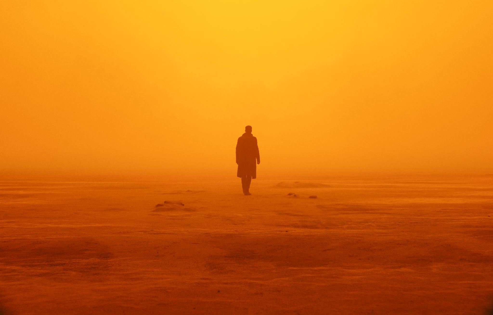 Blade Runner 2049, HD, Film, Hintergrund, Sci-Fi, 2050x1310 HD Desktop