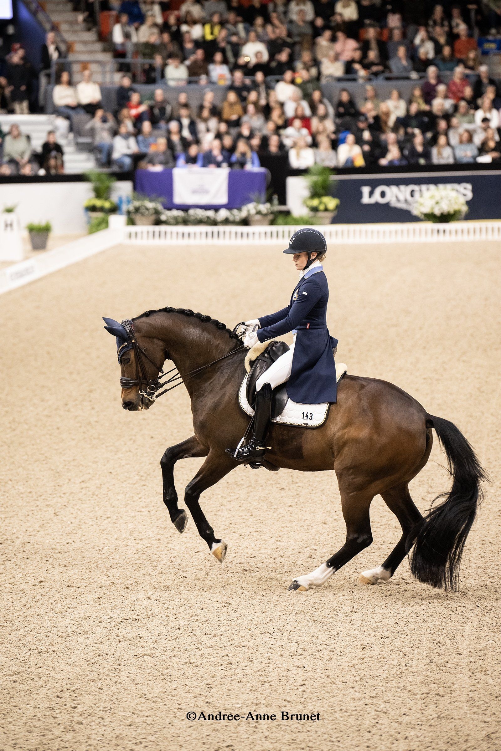 Andrée Anne Brunet, Fotografie, Dressurbilder, Equestrian, 1600x2400 HD Handy