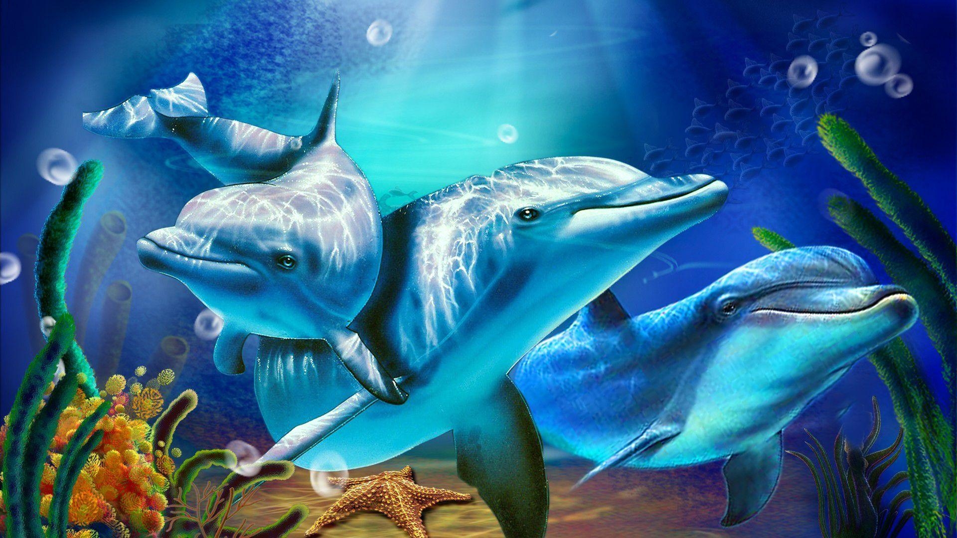 Delphin, animiert, Hintergrund, neueste, beste, 1920x1080 Full HD Desktop