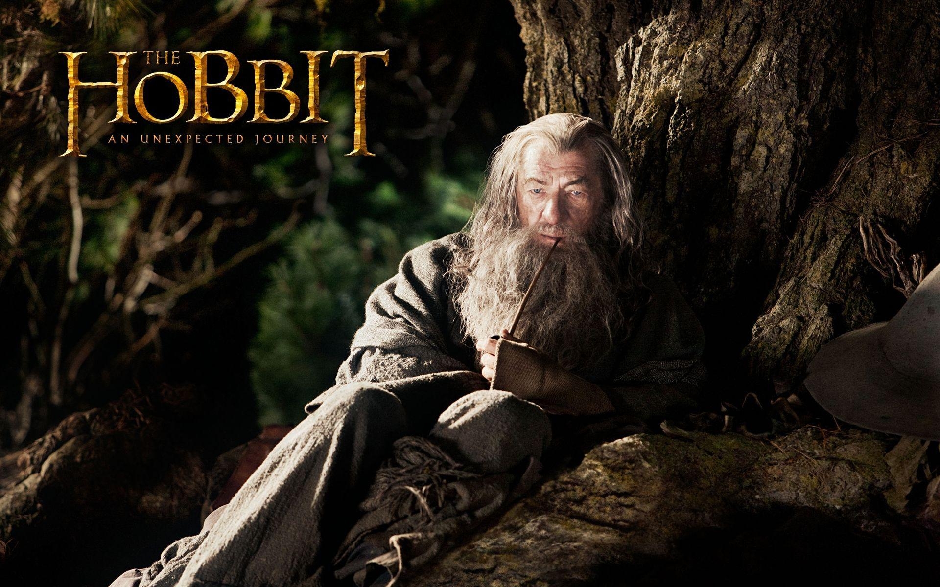 Gandalf, Wildschweine, Der Hobbit, Reise, Abenteuer, 1920x1200 HD Desktop