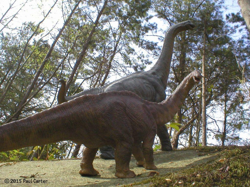 Brontosaurus, Dinosaurier, prähistorisch, Tier, Hintergrund, 1030x770 HD Desktop