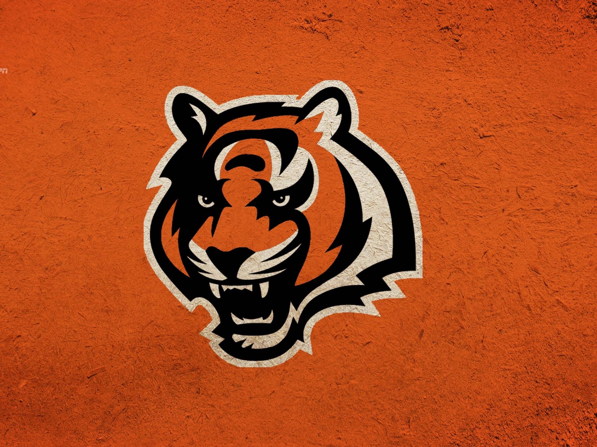 Cincinnati Bengals, Sport, NFL, Grafik, Team, 1920x1440 HD Desktop