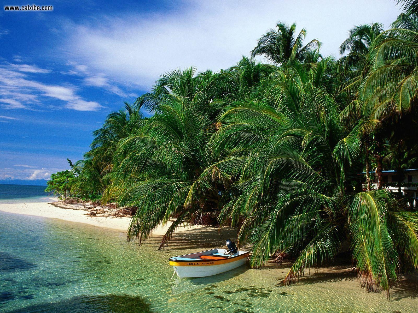 Natur, Cays Zapatillas, Bocas del Toro, Panama, Desktop, 1600x1200 HD Desktop