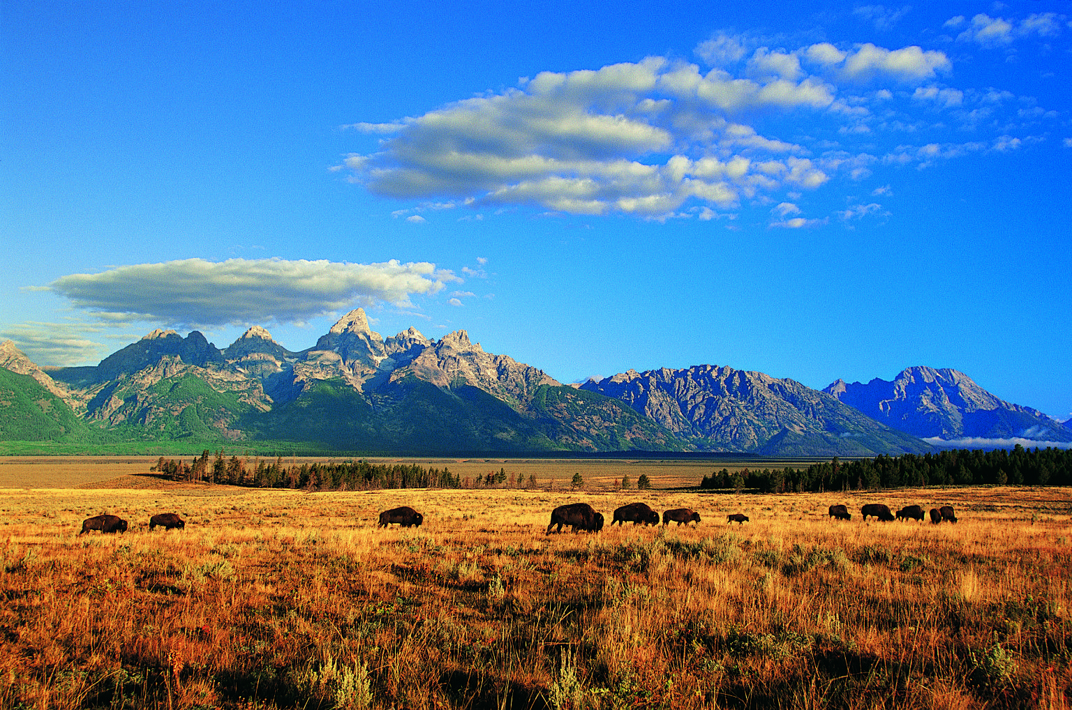 Wyoming, Natur, Landschaft, Reisen, Bild, 1540x1020 HD Desktop