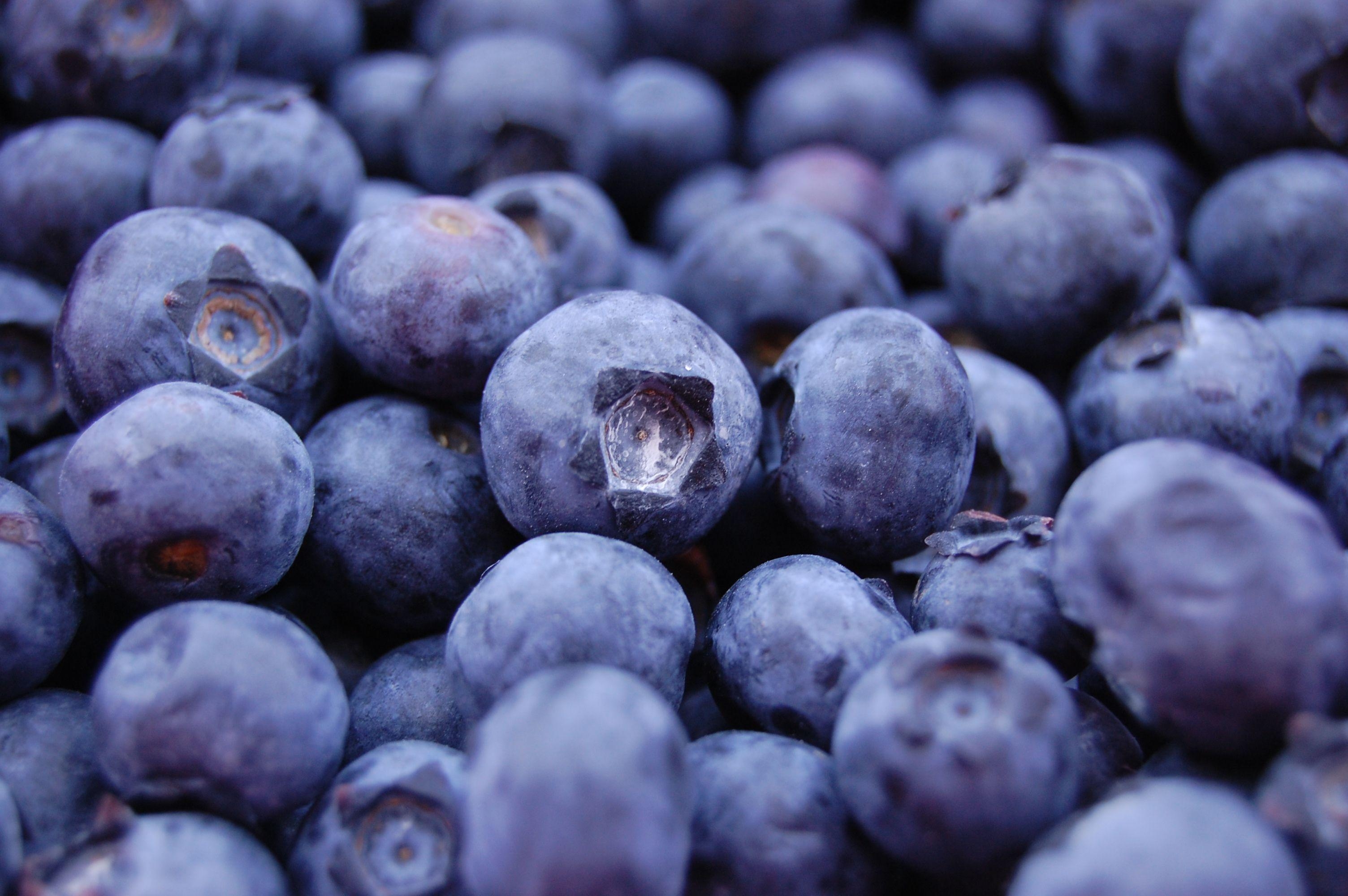 Blaubeeren, Hintergrund, Früchte, Obst, Pixel, 3010x2000 HD Desktop