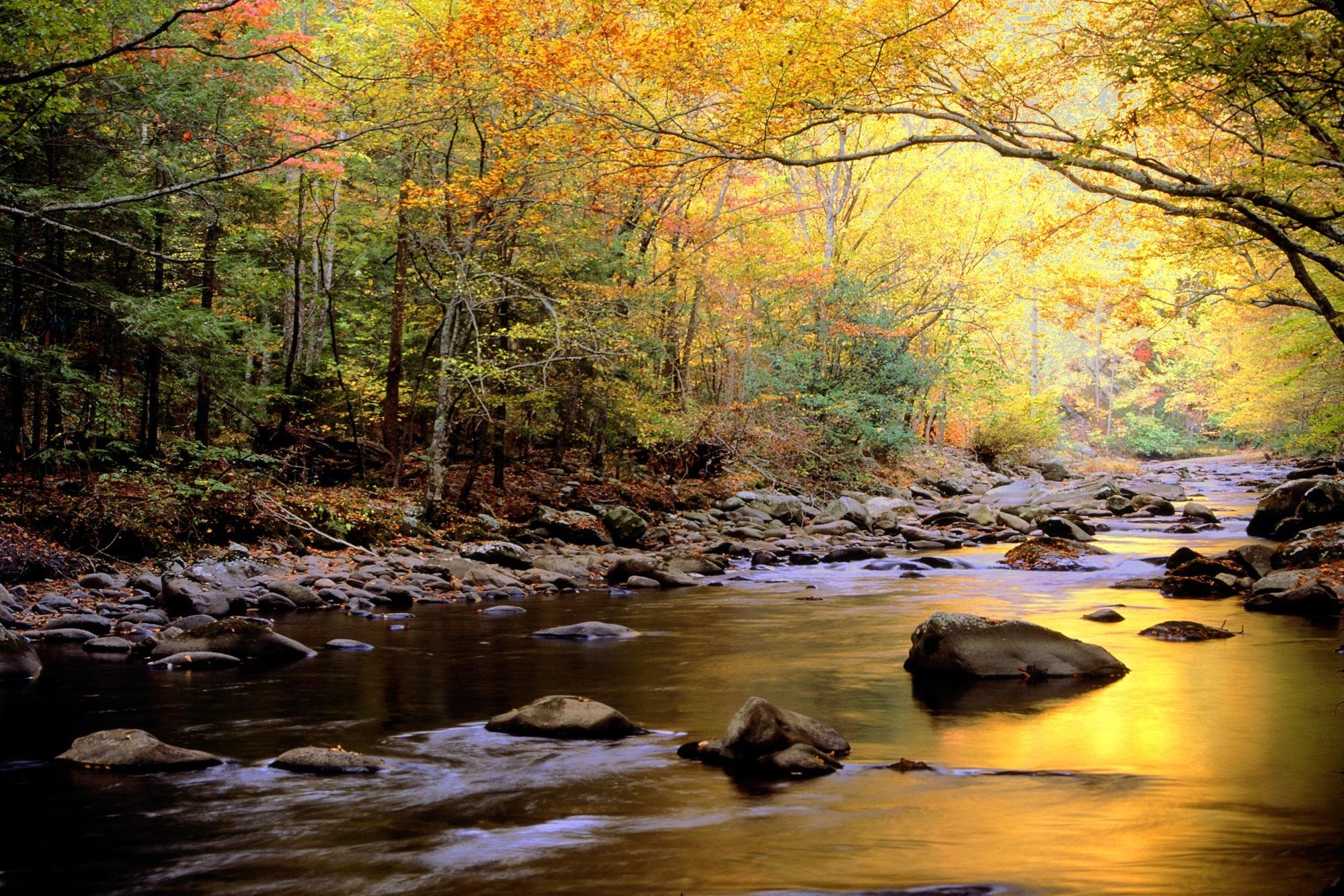 Große Nebligen Berge, Nationalpark, USA, Natur, Reiseziel, 2000x1340 HD Desktop