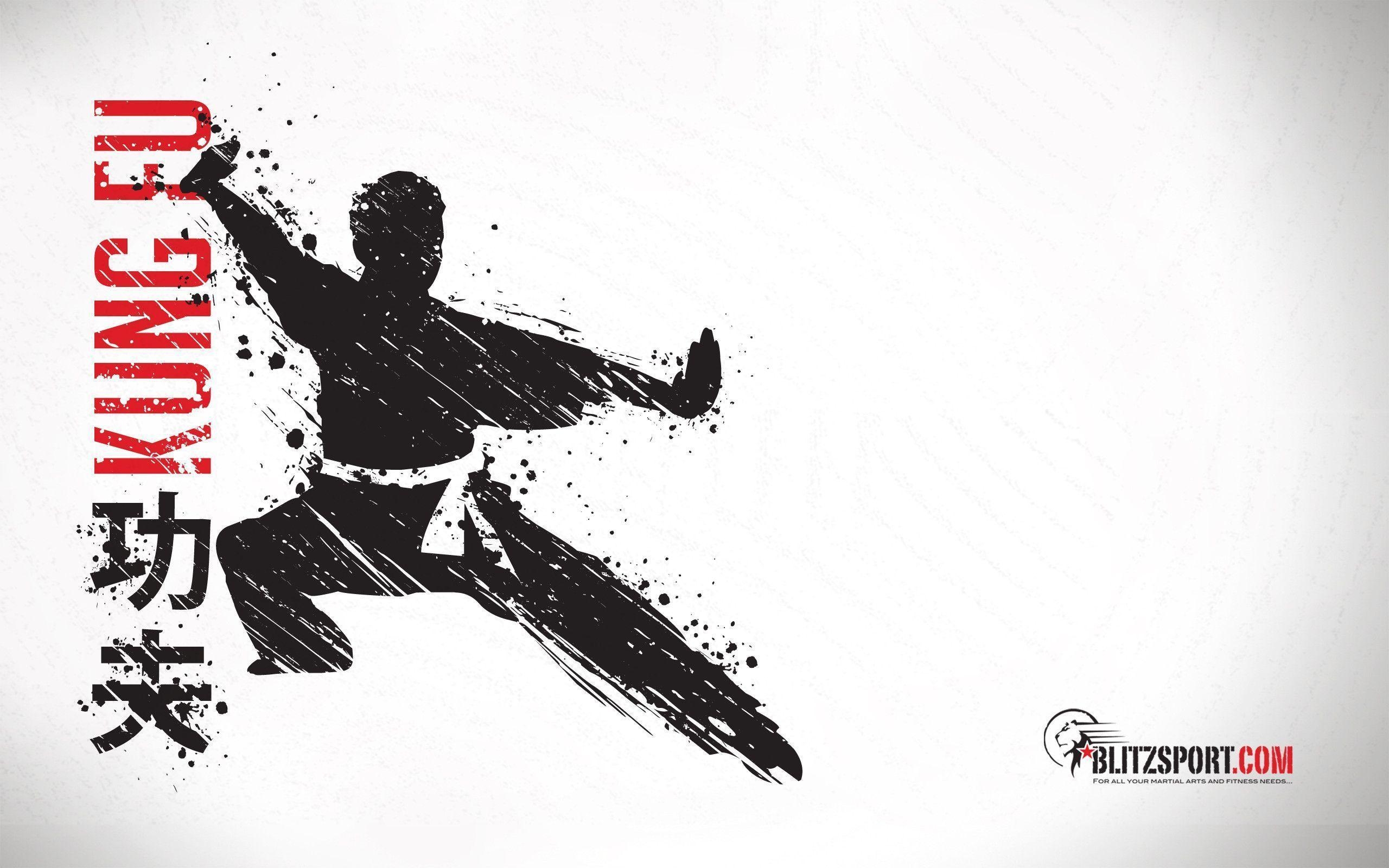 Kung Fu Sport, Kampfkunst, Shaolin, Dynamisch, Wandbild, 2560x1600 HD Desktop