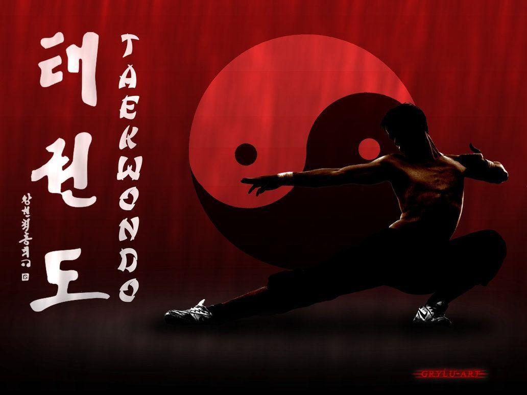 Kampfsport, Taekwondo, Sport, Technik, Bild, 1040x780 HD Desktop