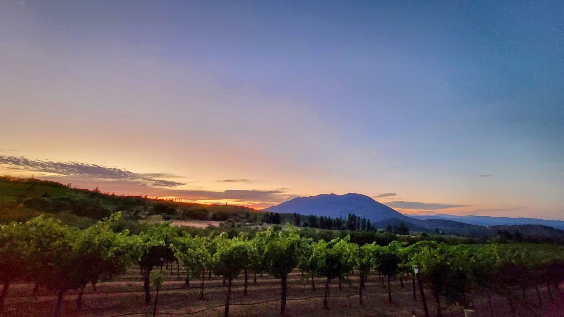 Napa Valley, nördlicher Nachbar, Wein, Erleben, Genuss, 1920x1080 Full HD Desktop