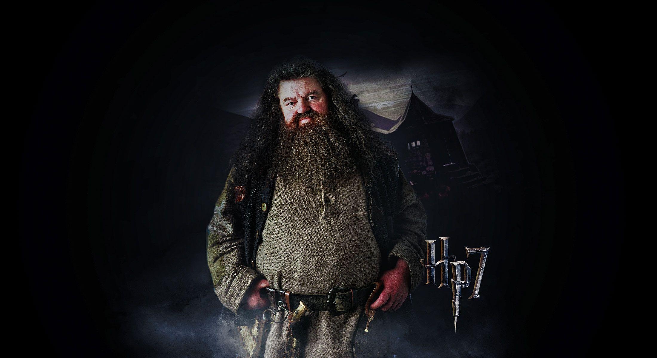 Hagrid, Zauberer, Harry Potter, Filme, Hintergrund, 2200x1200 HD Desktop