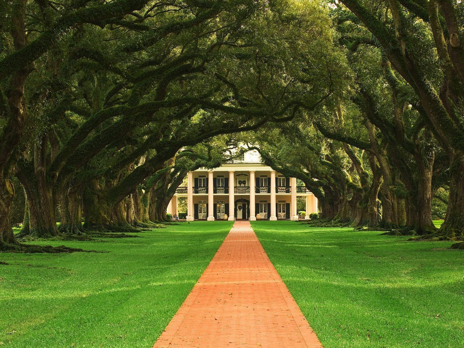 Louisiana, US-Staat, Landschaft, Südstaaten, Reise, 1600x1200 HD Desktop