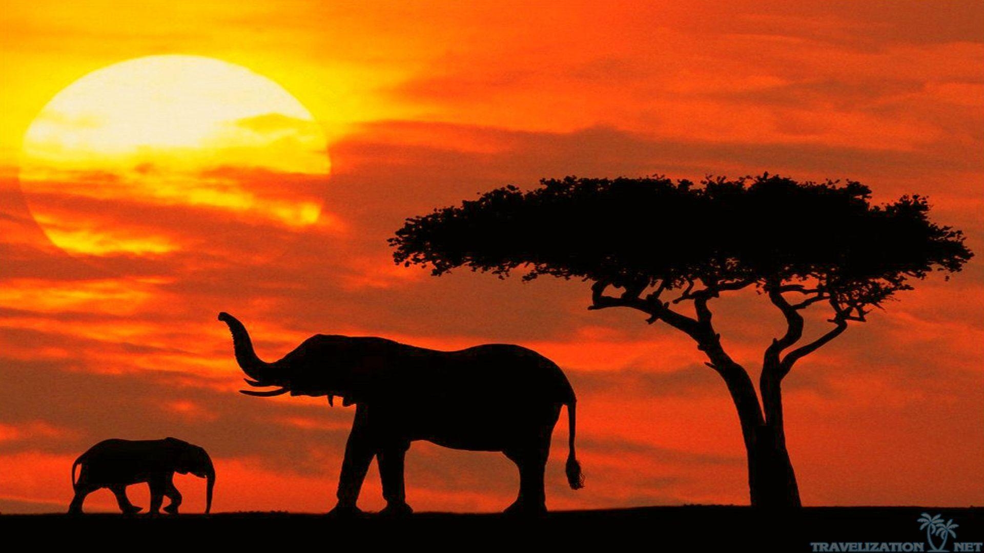 Kenia, Reisen, Natur, Afrika, Landschaft, 1920x1080 Full HD Desktop