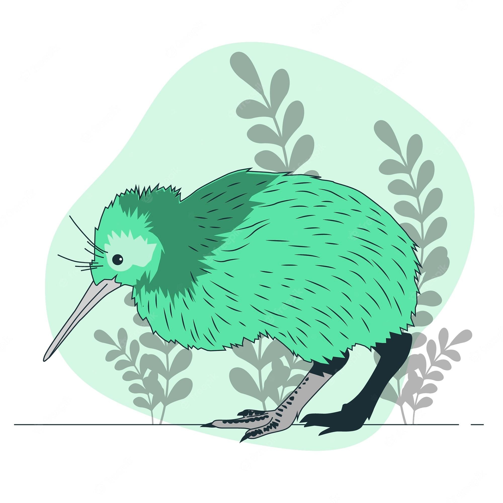 Kiwi Illustration, Vektor Kunst, kostenlose Downloads, Zeichnungen, Grafiken, 2000x2000 HD Handy