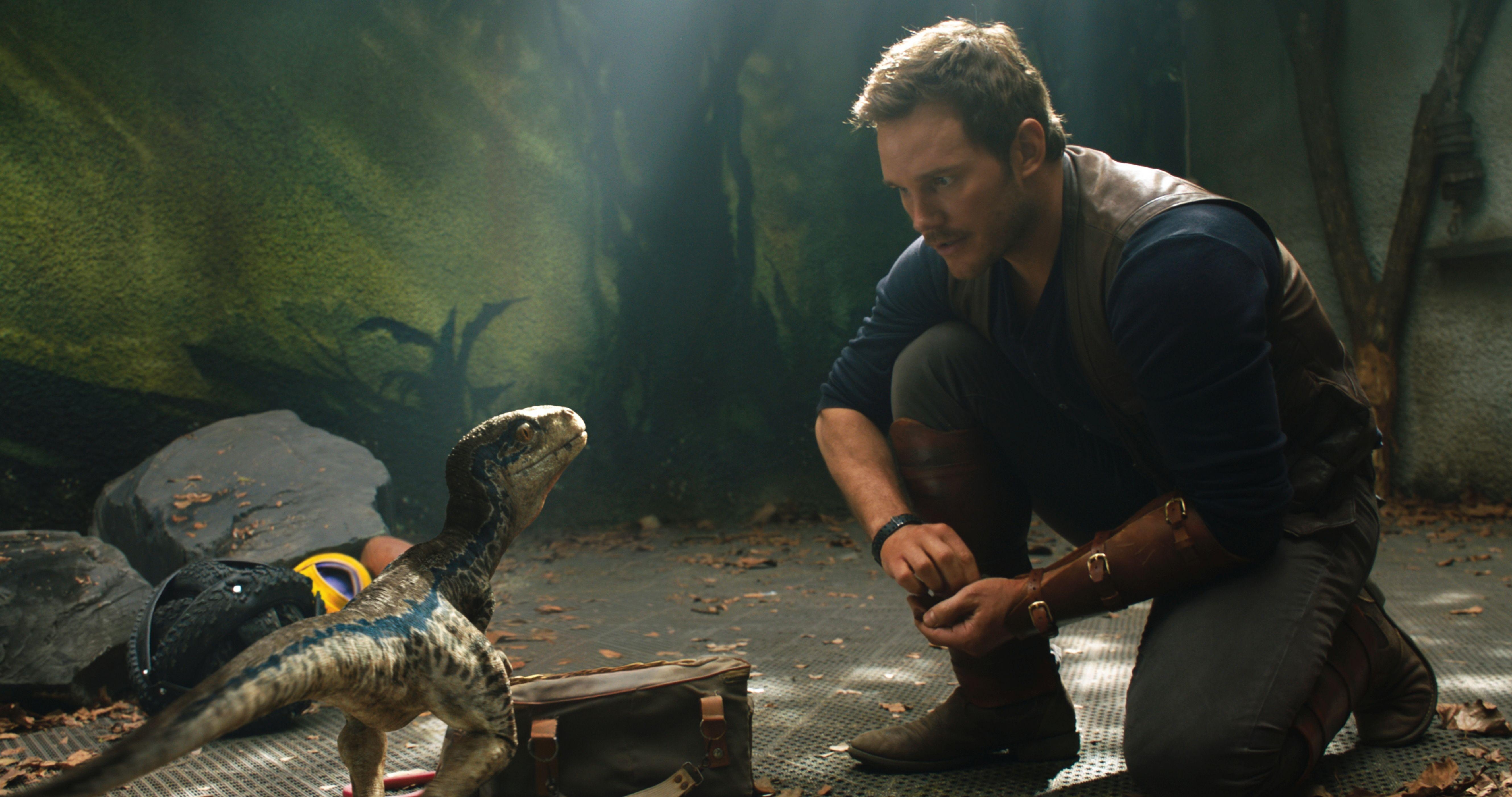 Chris Pratt, Raptor, Jurassic World, Kingdom, Hintergrund, 5320x2810 4K Desktop