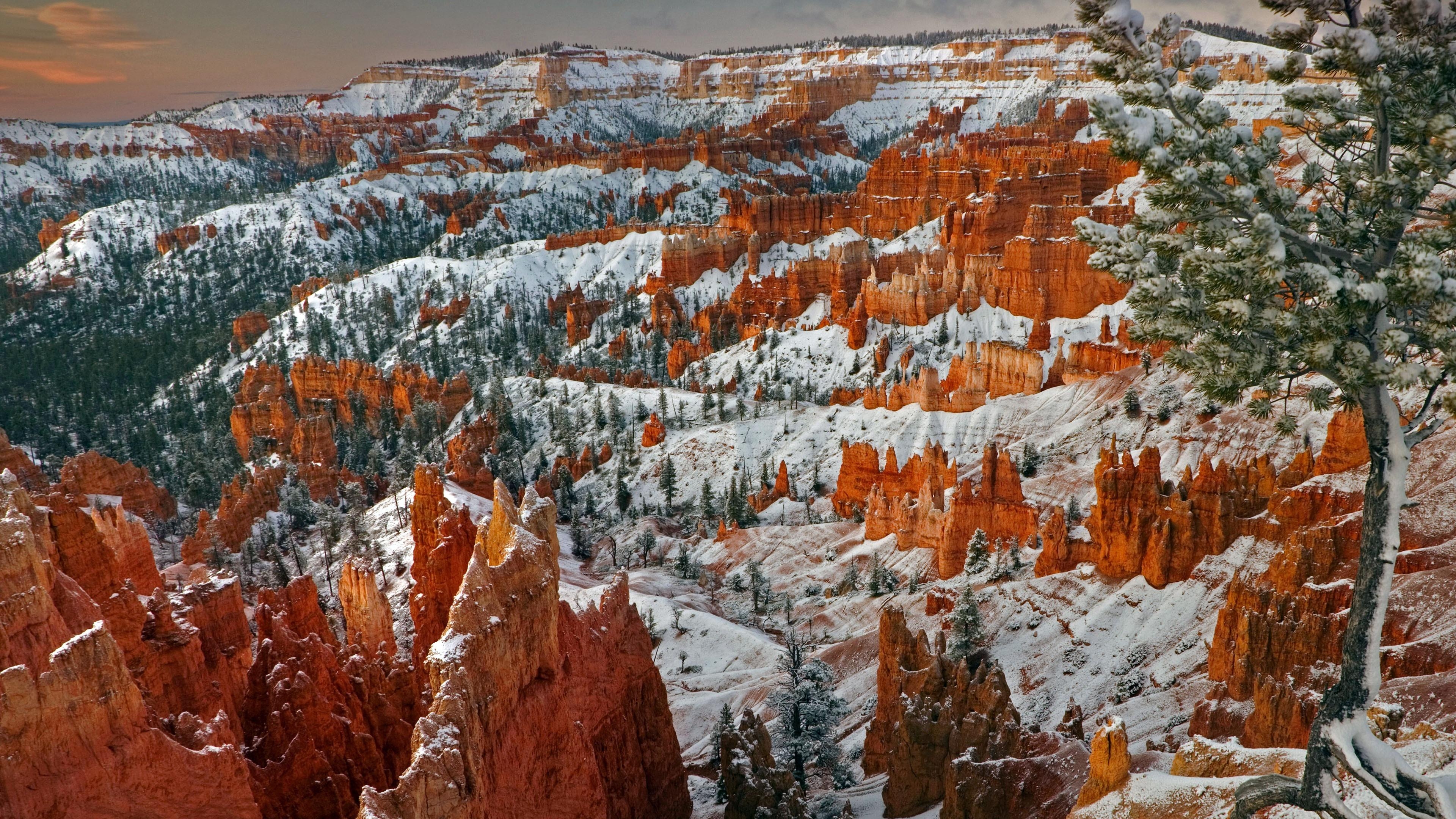 Bryce Canyon Utah, HD 2021, Nationalpark, 3840x2160 4K Desktop