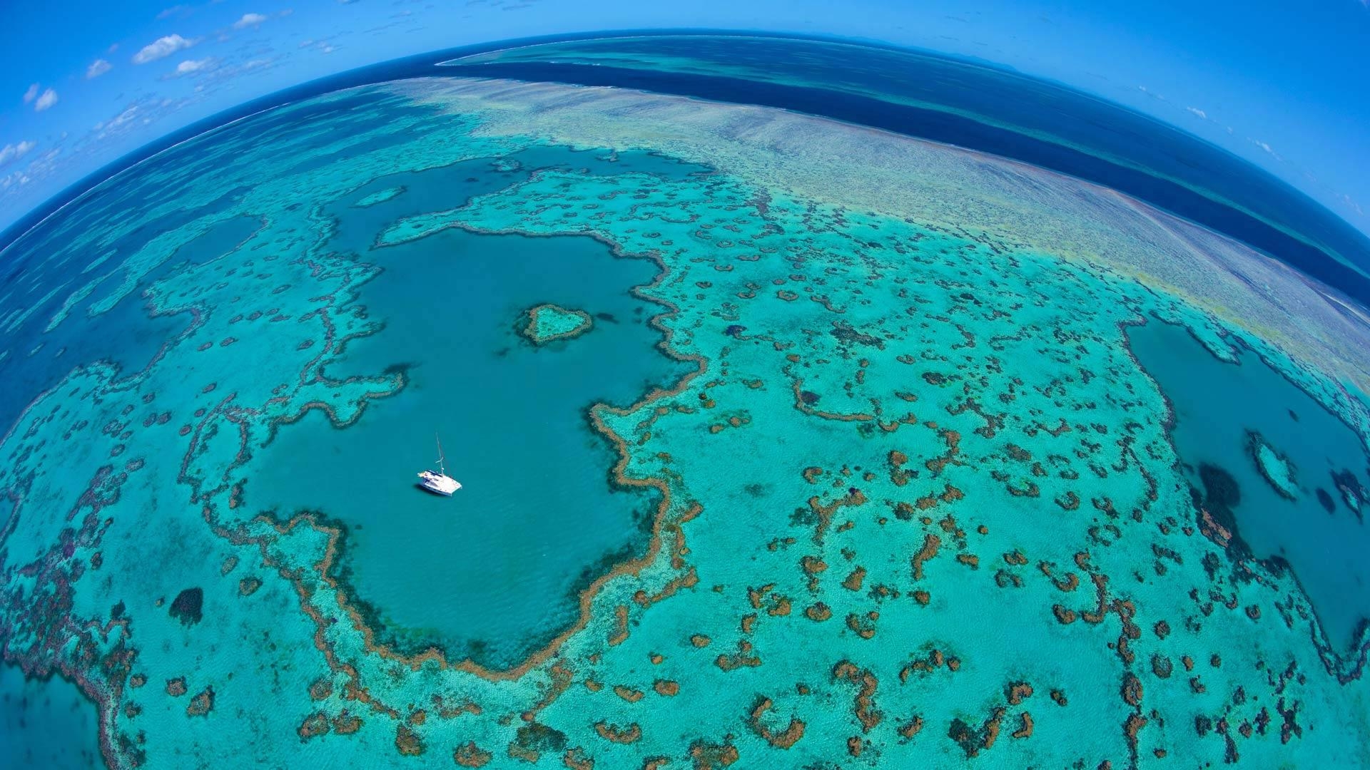 Great Barrier Reef, Australien, Meeresleben, Korallen, Natur, 1920x1080 Full HD Desktop