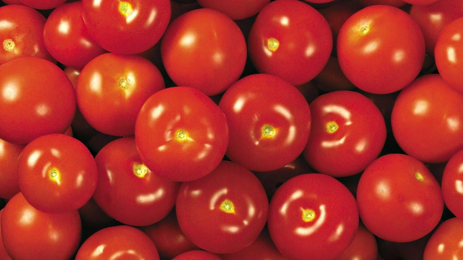 Tomate, Rot, Gemüse, Hintergrund, Fotografie, 1600x900 HD Desktop