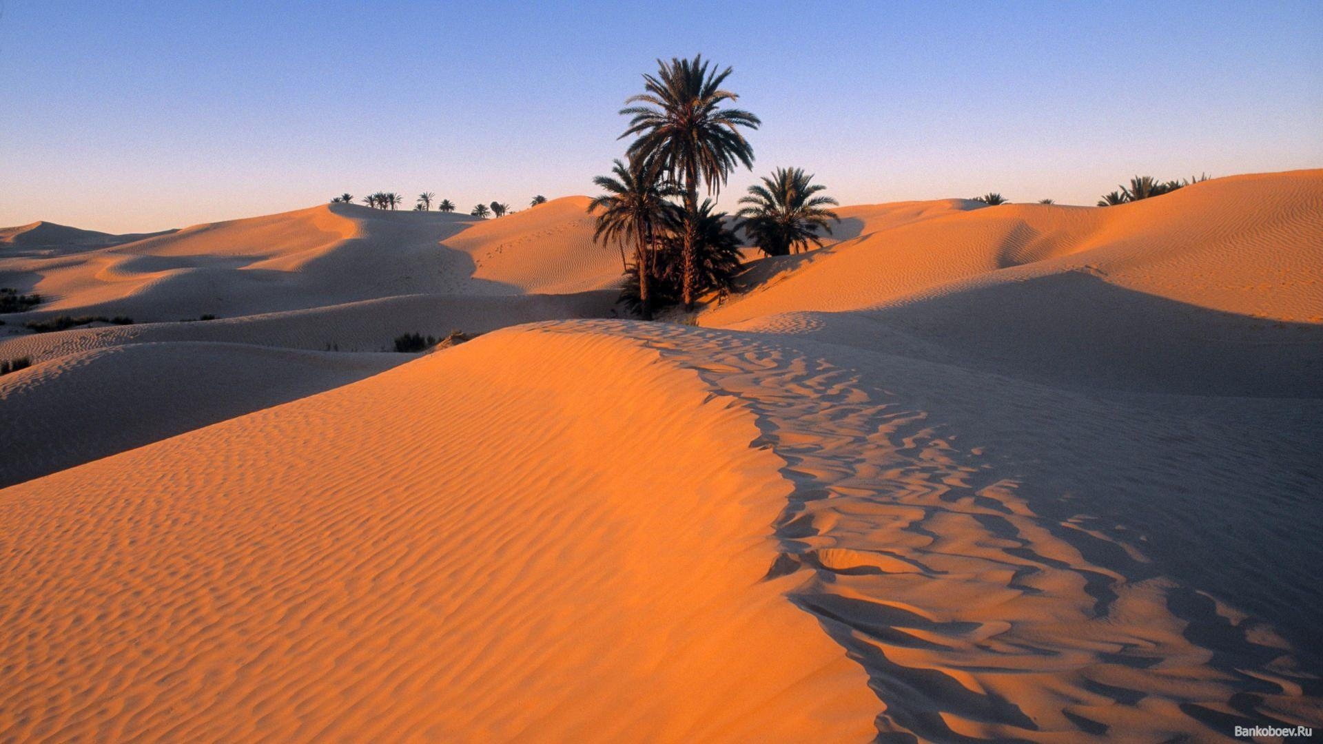 Tunisia, Landschaften, Architektur, Töpferkunst, Markt, 1920x1080 Full HD Desktop