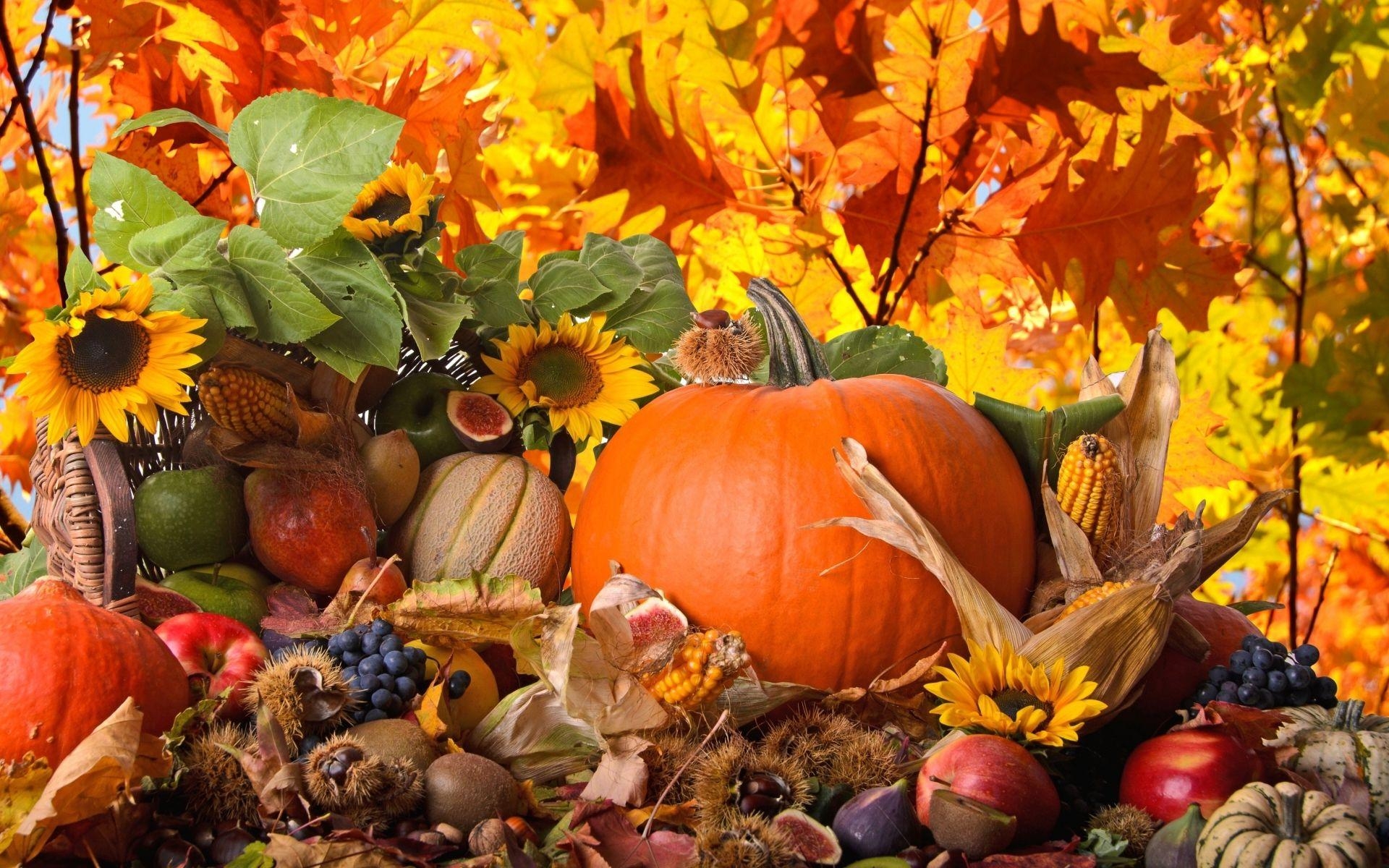 Thanksgiving, Festliche Stimmung, Mac OS, Tradition, Herbst, 1920x1200 HD Desktop