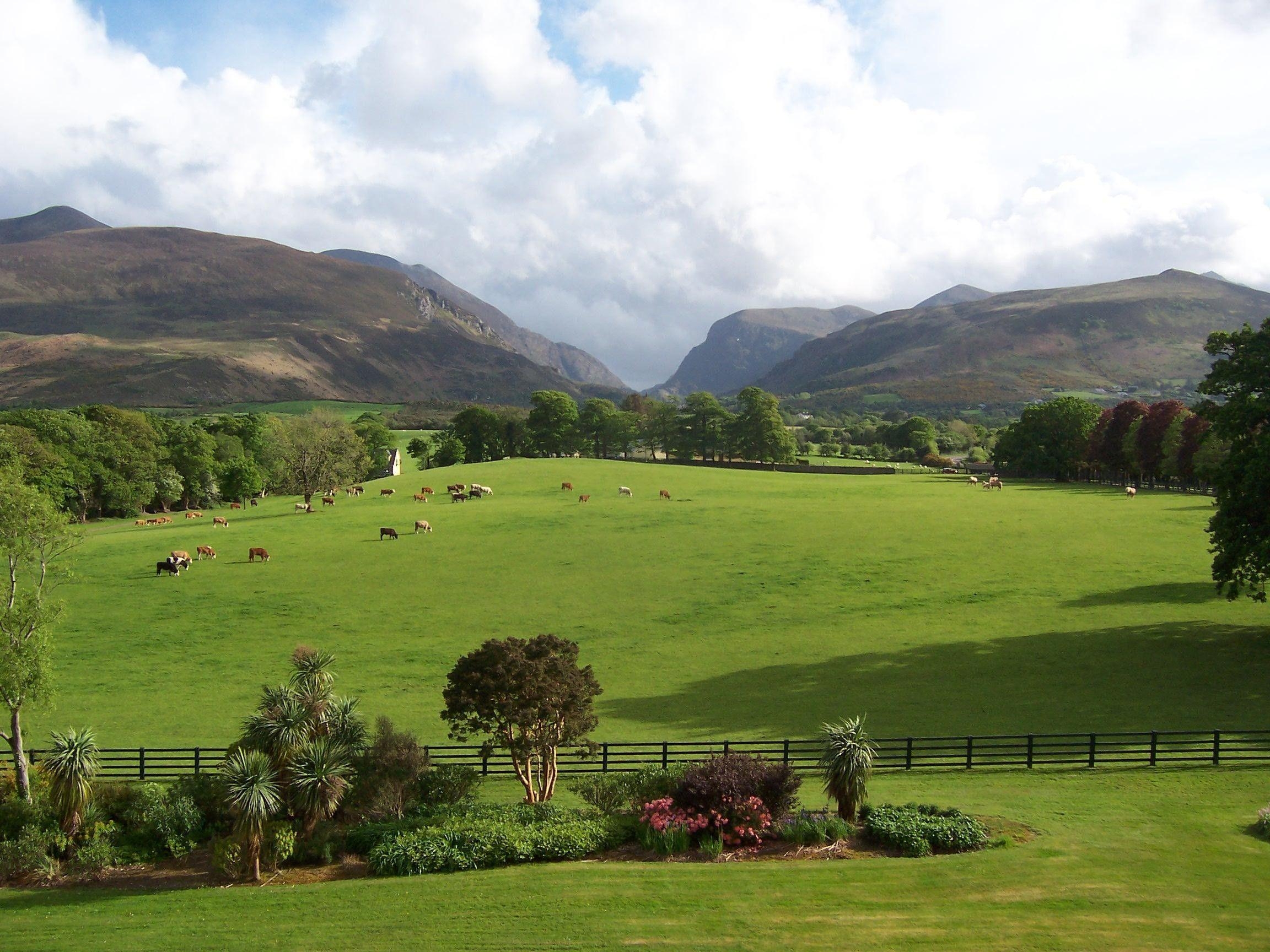 Gras, Landschaft, Irland, Irisch, Aussicht, 2310x1730 HD Desktop