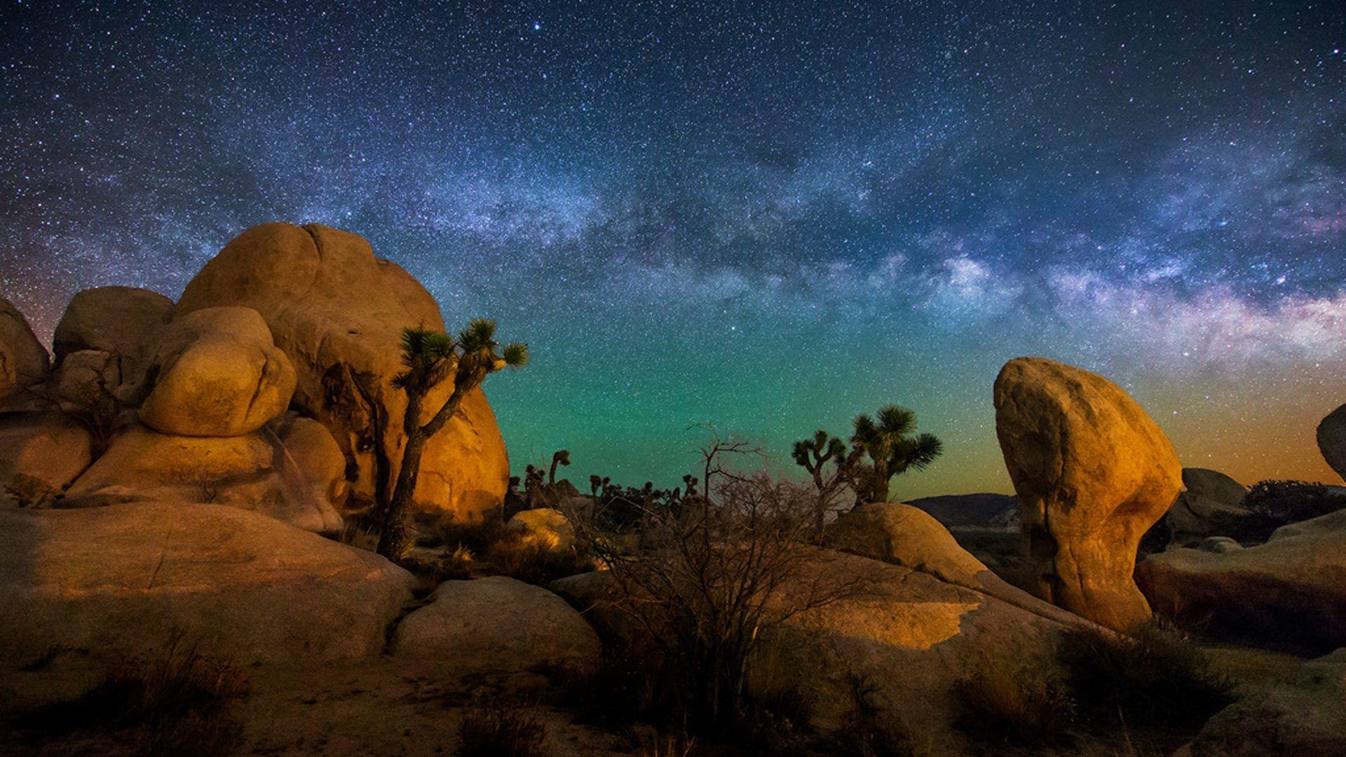 Joshua Tree, Natur, Nationalpark, Vereinigte Staaten, 1920x1080 Full HD Desktop