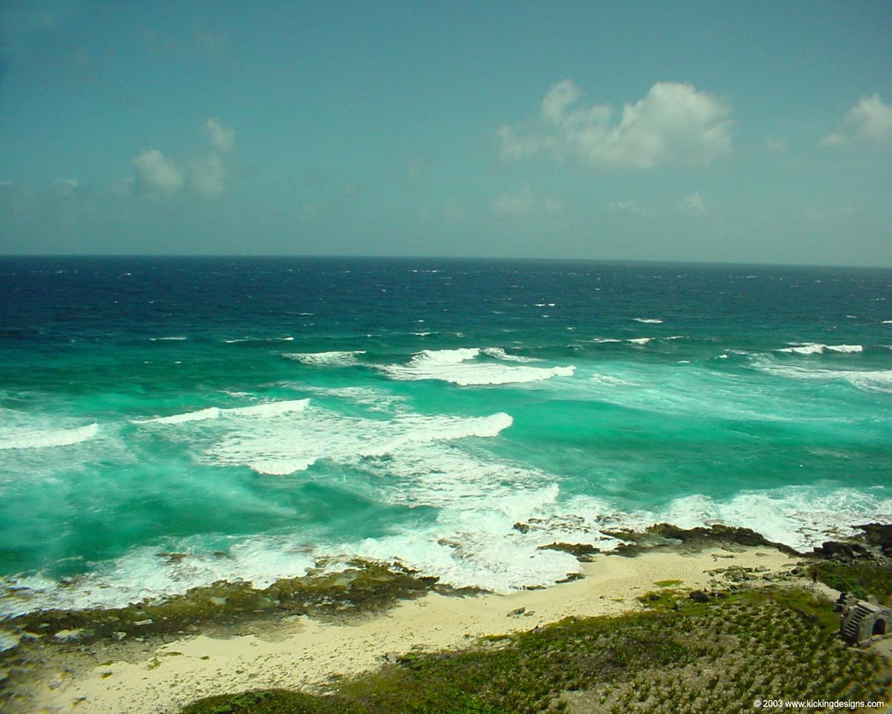 Cozumel Riffe, Meeresfauna, Ozeanleben, Natur, Fotografie, 1280x1030 HD Desktop