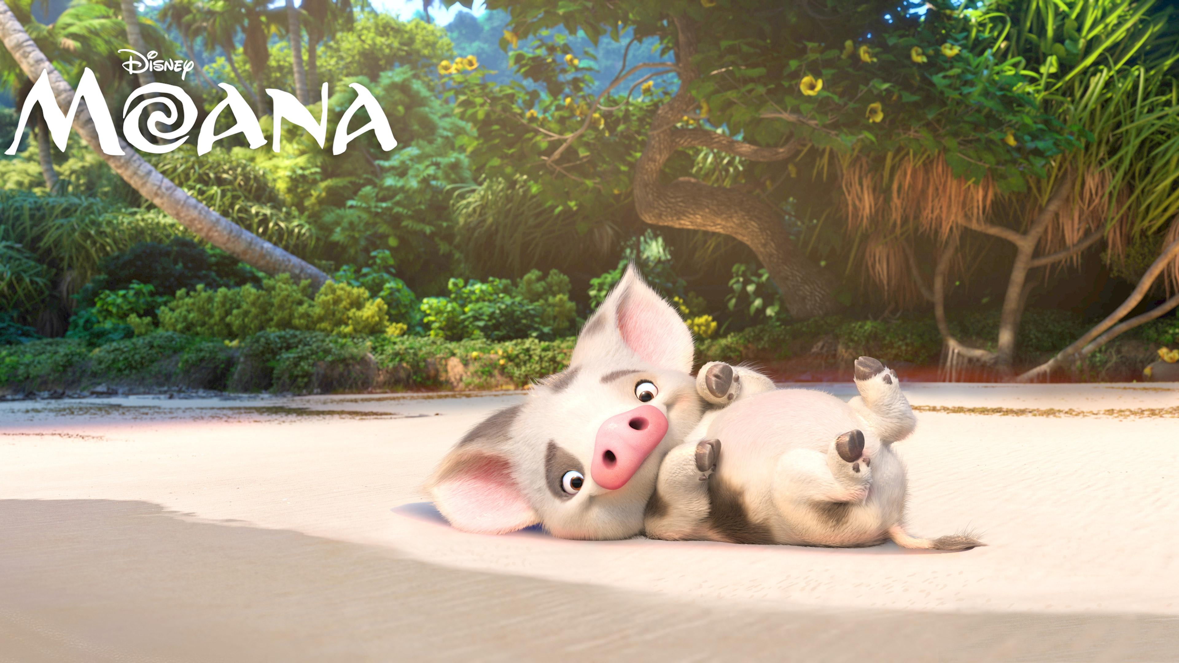 Pua Moana, 4K HD Film, Disney-Schwein, Animationscharakter, Abenteuer, 3840x2160 4K Desktop