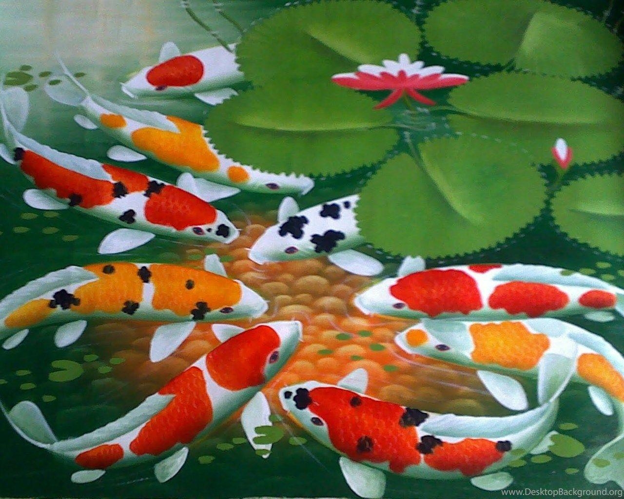 Koi, Fische, Full HD, Desktop, Bild, 1280x1030 HD Desktop